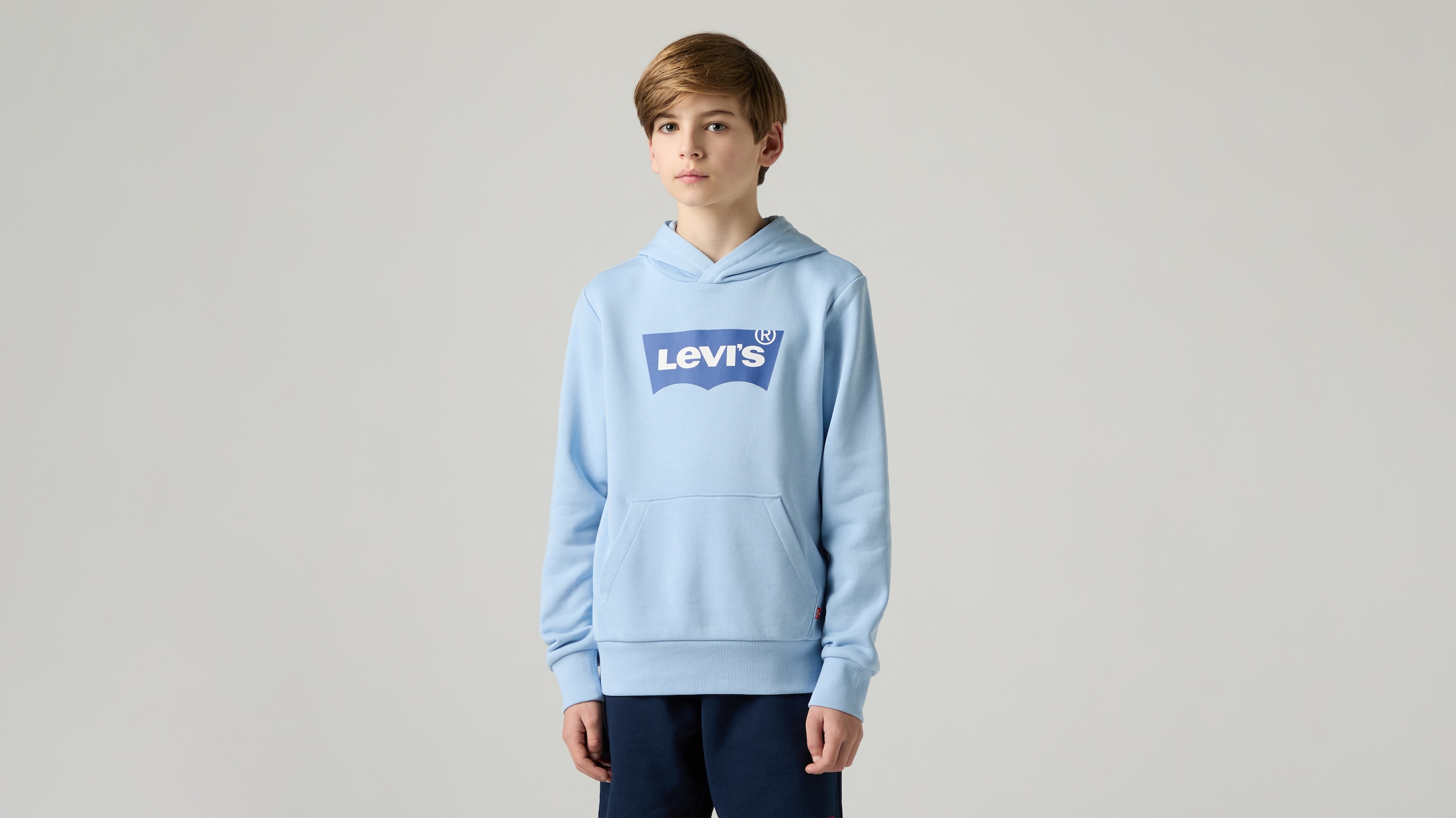 Levi's® Kids Sweat à capuche »LVB BATWING PULLOVER HOODIE«, pour GARÇONS
