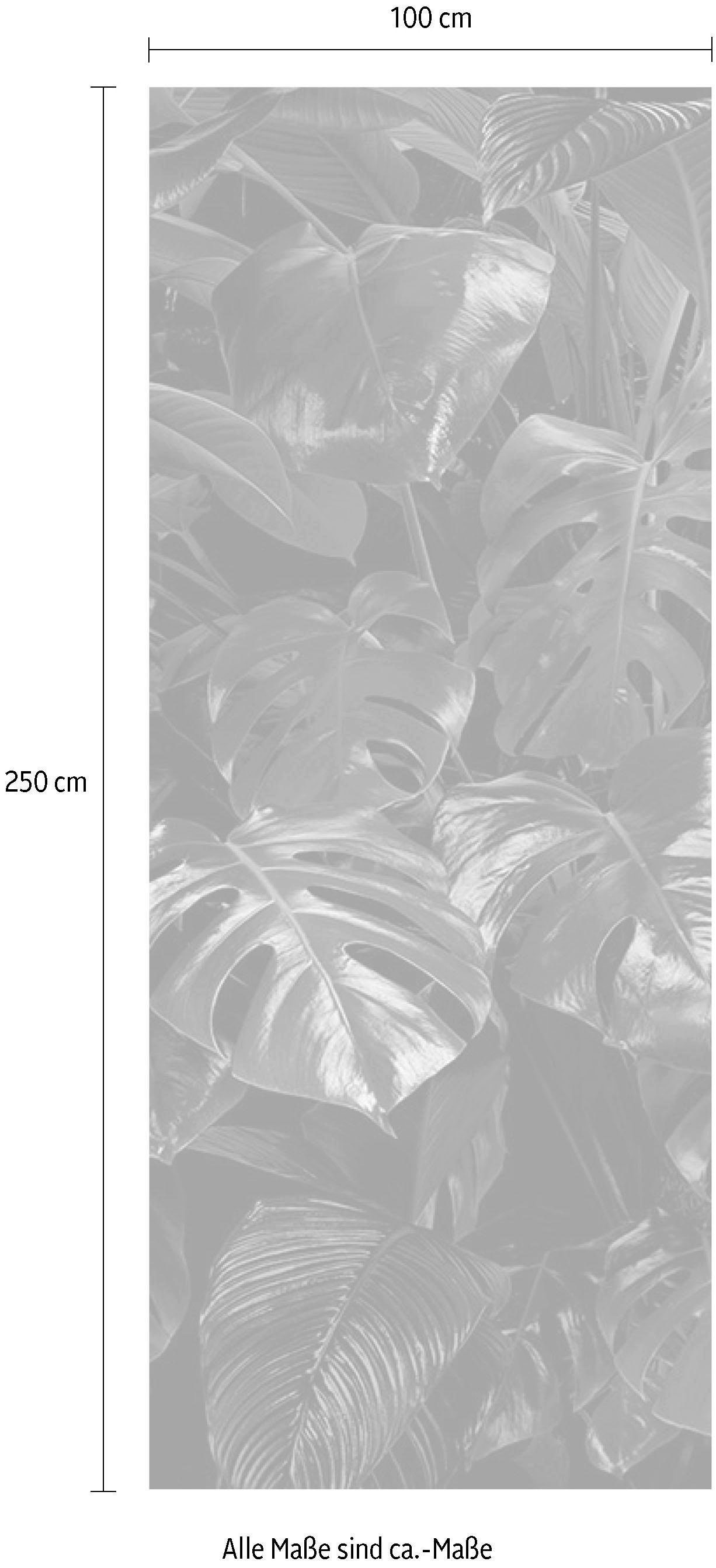 Komar Papier peint intissé »Digitaldruck Vlies -  Tropical Wall Panel - Grösse 100 x 250 cm« imprimé Wohnzimmer, Schlafzimmer