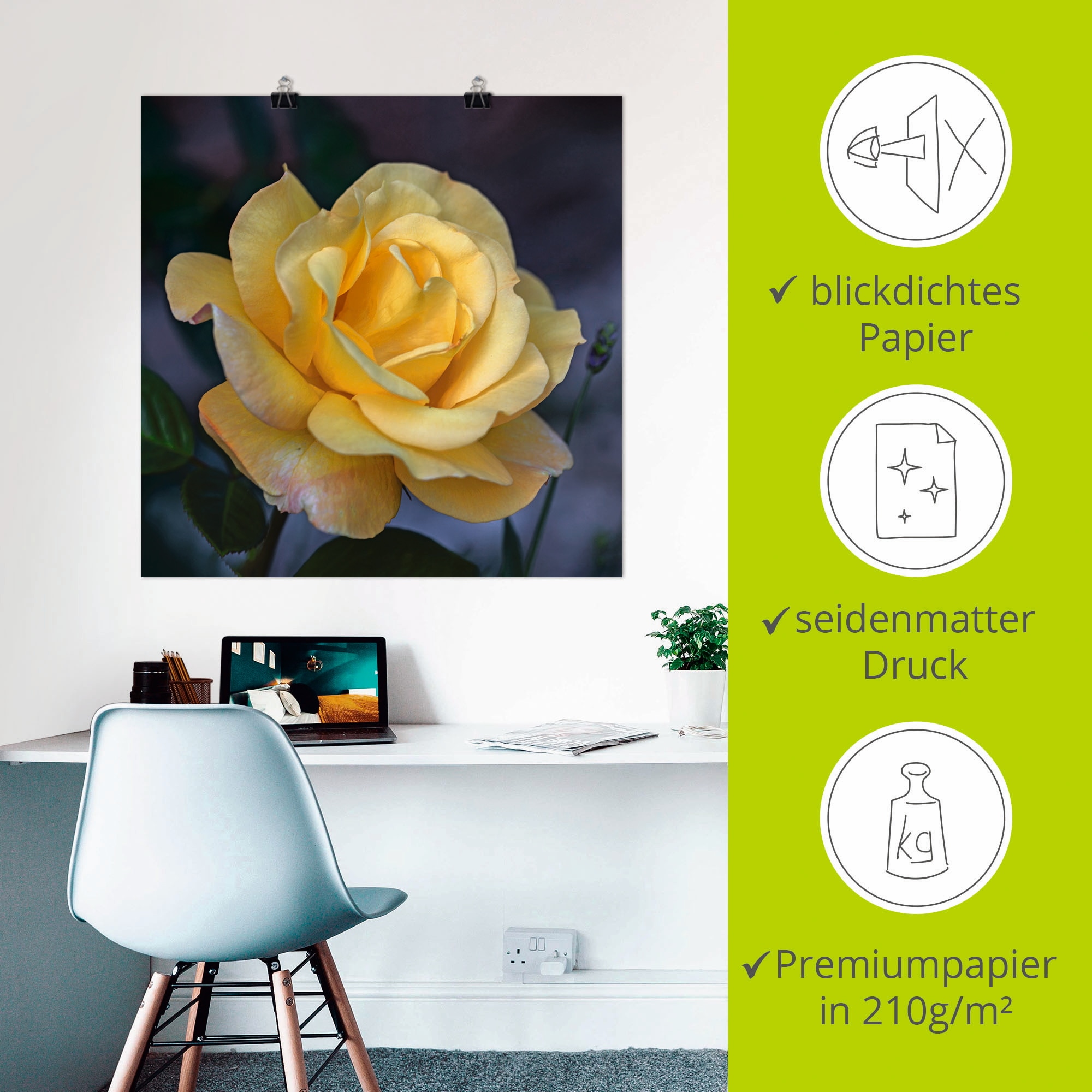 Artland Poster »Gelbe Rose« Blumen 1 Stk. tlg. ohne Rahmen