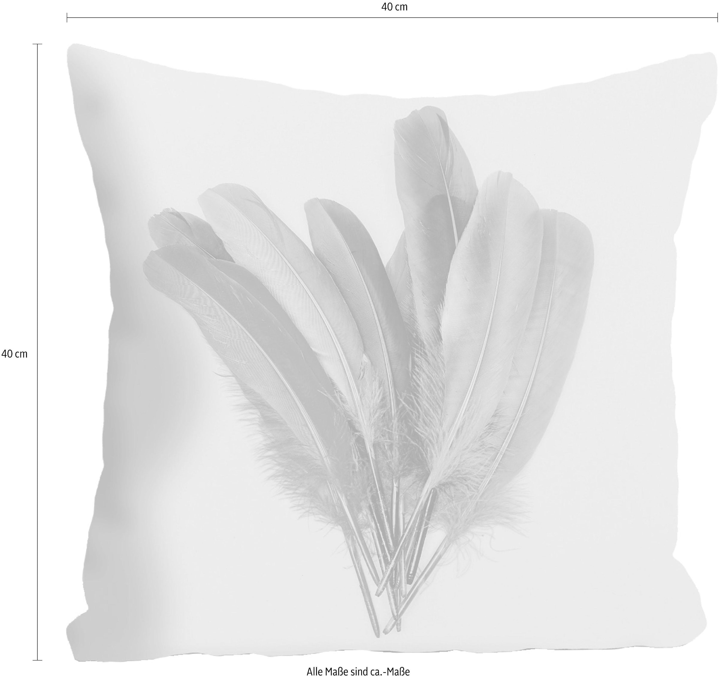 queence Coussin décoratif »»Federn«« housse de coussin sans rembourrage, 1 pièce