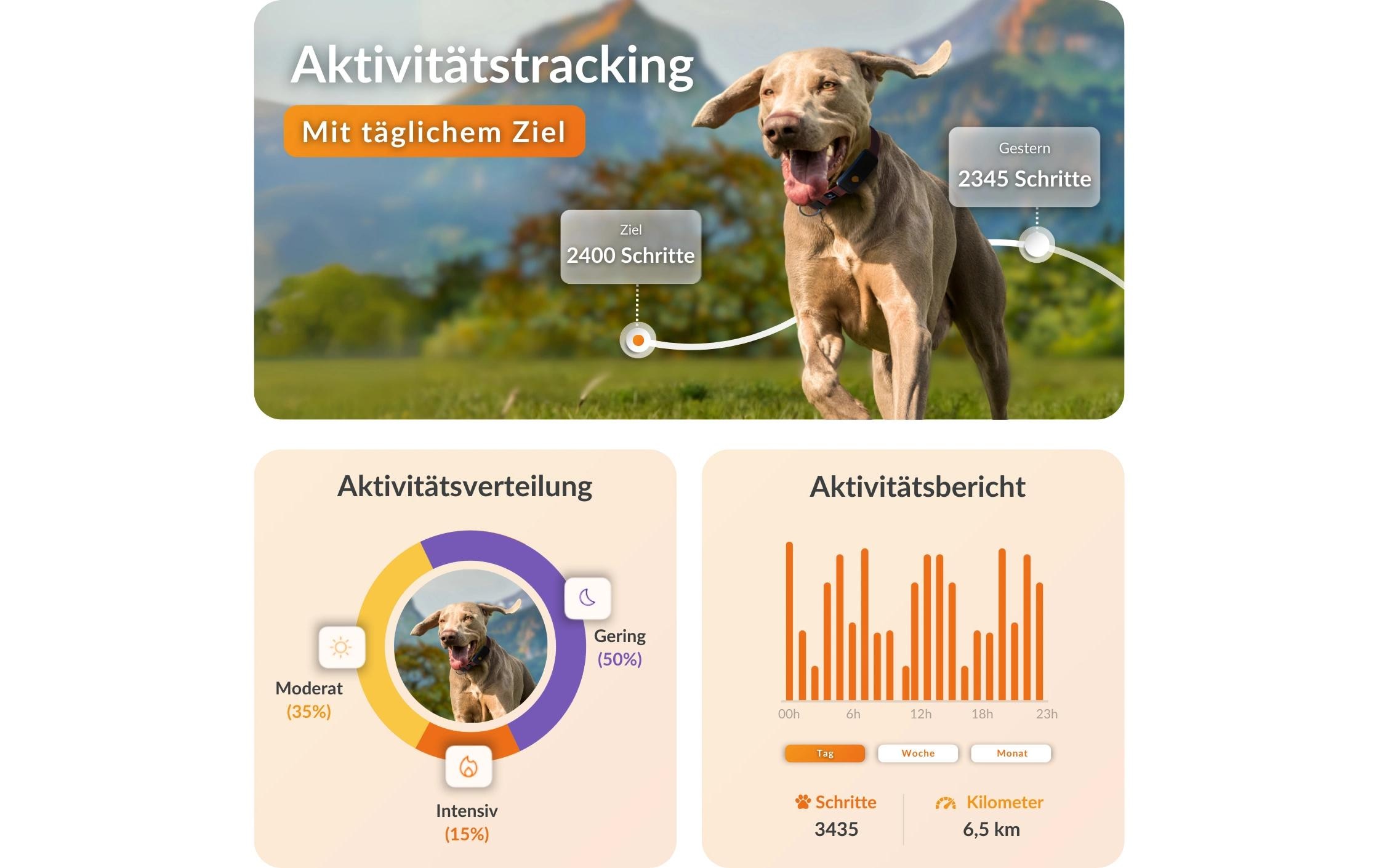   GPS-Hundetracker »Weenect für Hunde XT ohne Halsband«