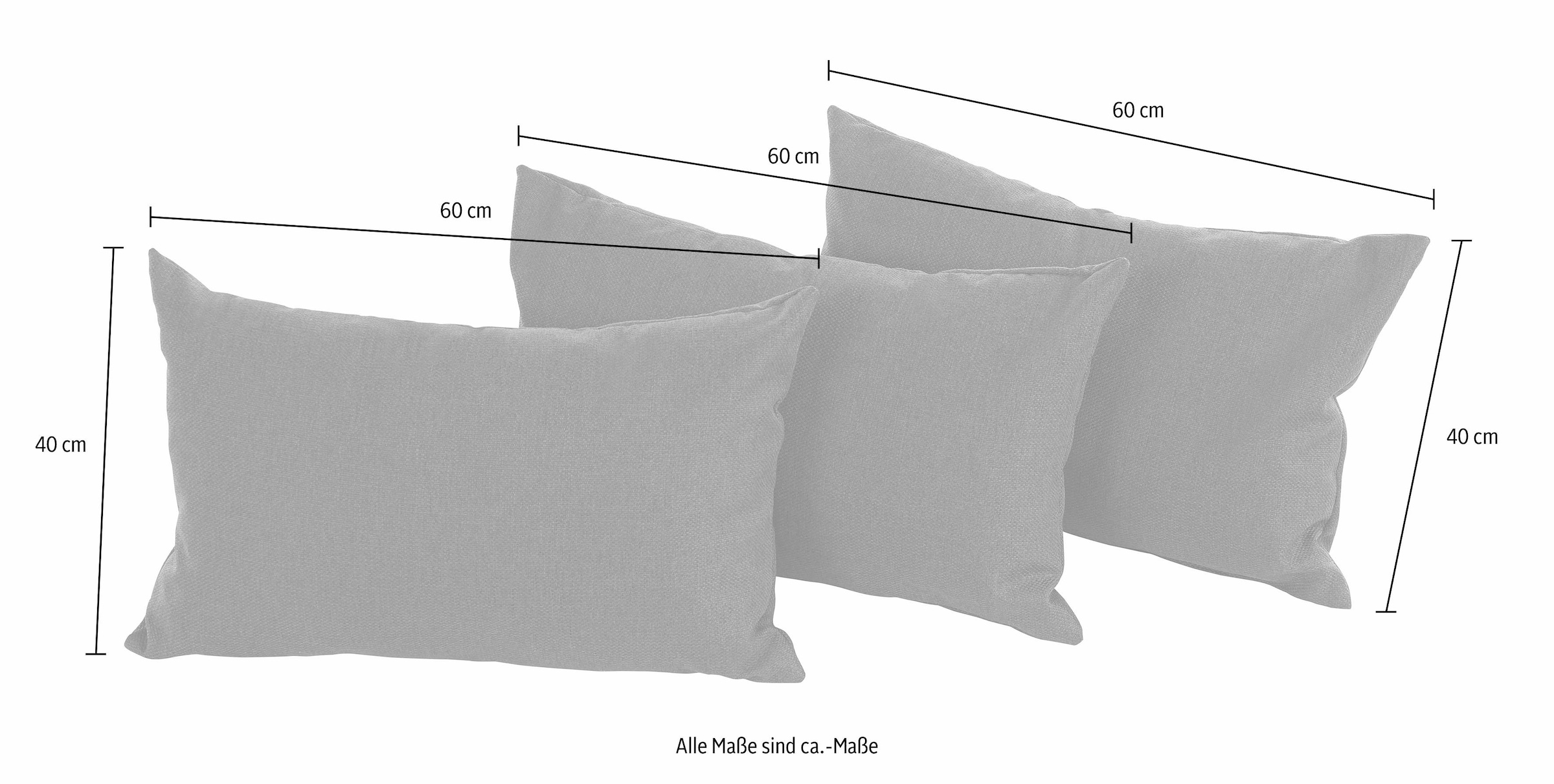 hapo Coussin décoratif 40x60 cm