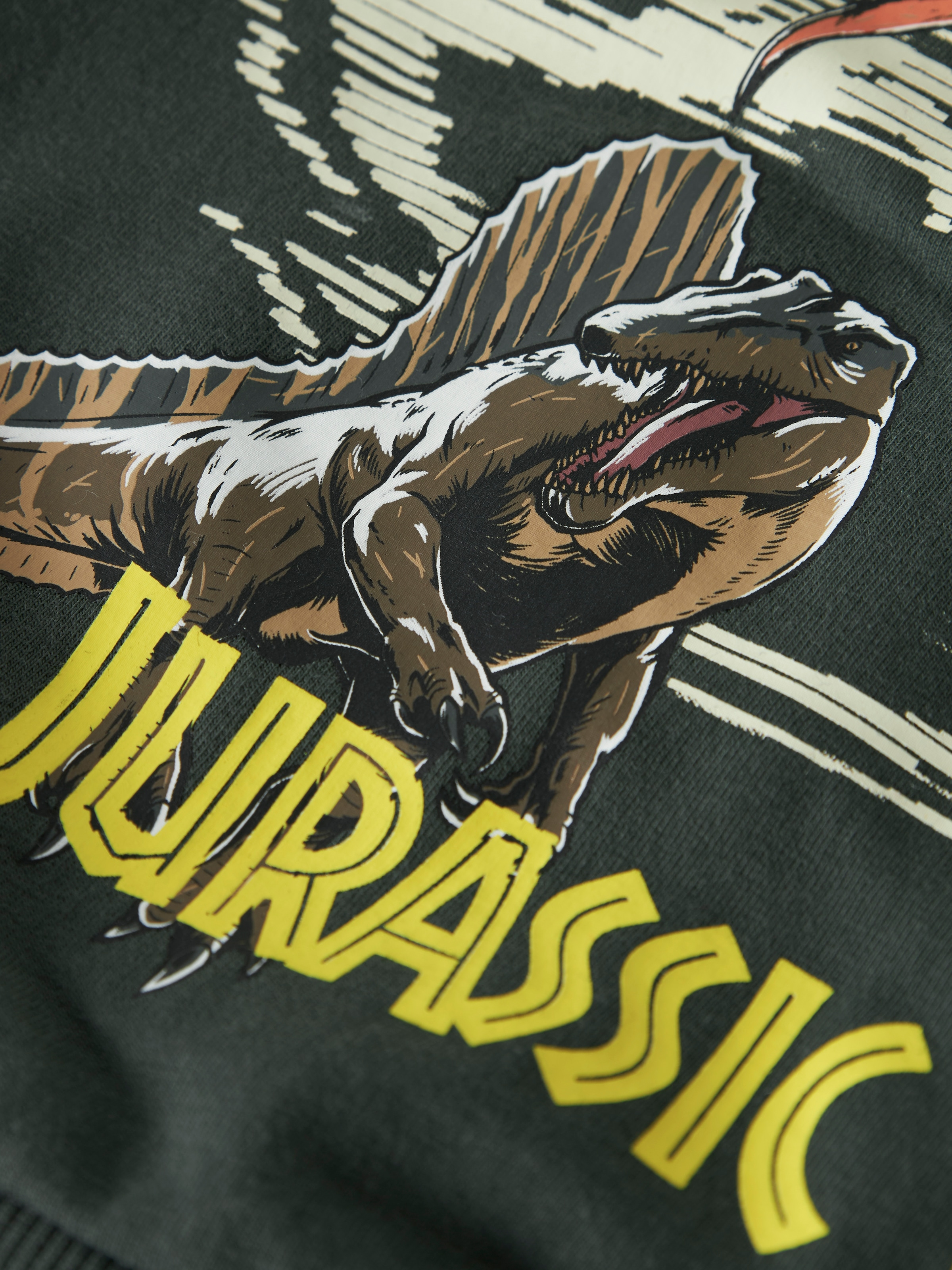 Name It Sweat-shirt »NMMJAL JURASSIC NREG SWEAT BRU NOOS SKY«, mélange de coton, coupe régulière, avec imprimé Jurassic World
