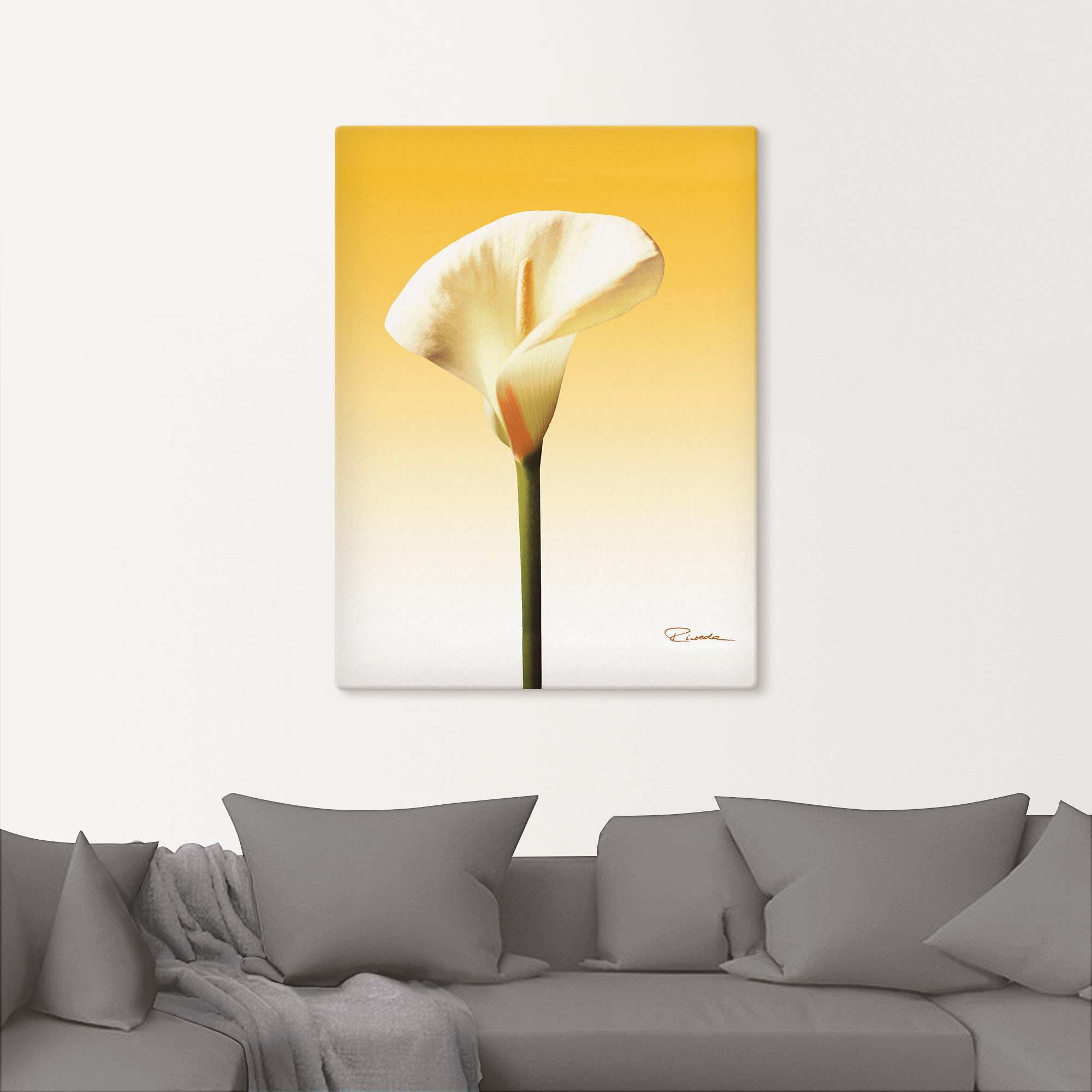 Artland Leinwandbild »Sonnenschein Calla II« Blumenbilder 1 Stk. tlg. auf Holzrahmen gespannt