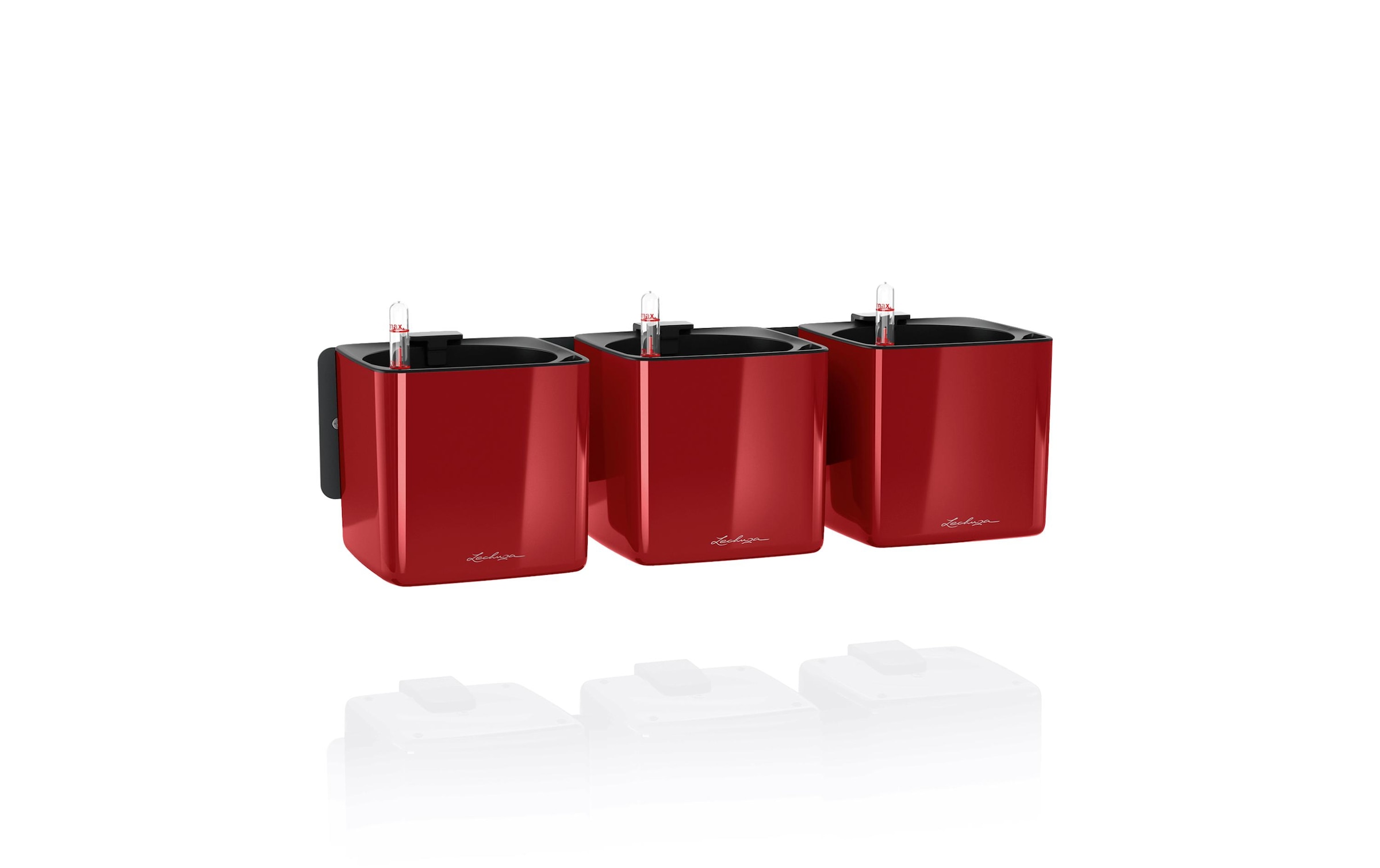   Cache-pot »Green Wall Home Kit Dunkelrot«