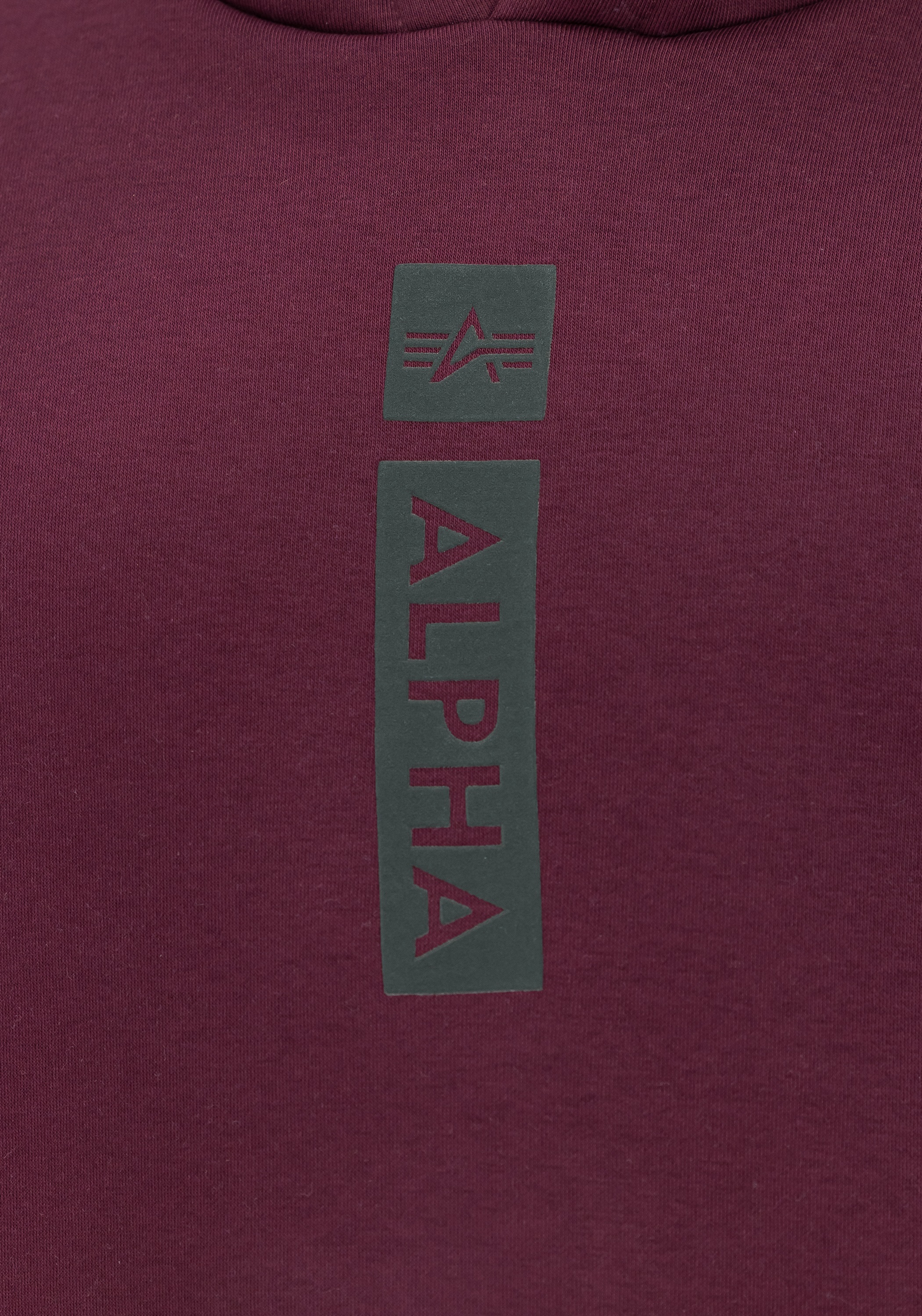 Alpha Industries Hoodie »Alpha Puff Print Hoodie«

