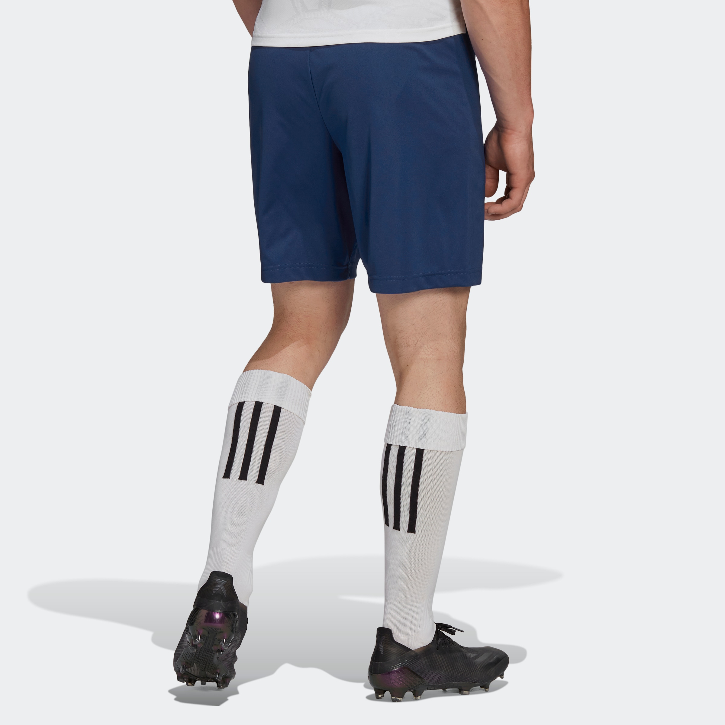 adidas Performance Short d'entraînement »ENT22 SHO«