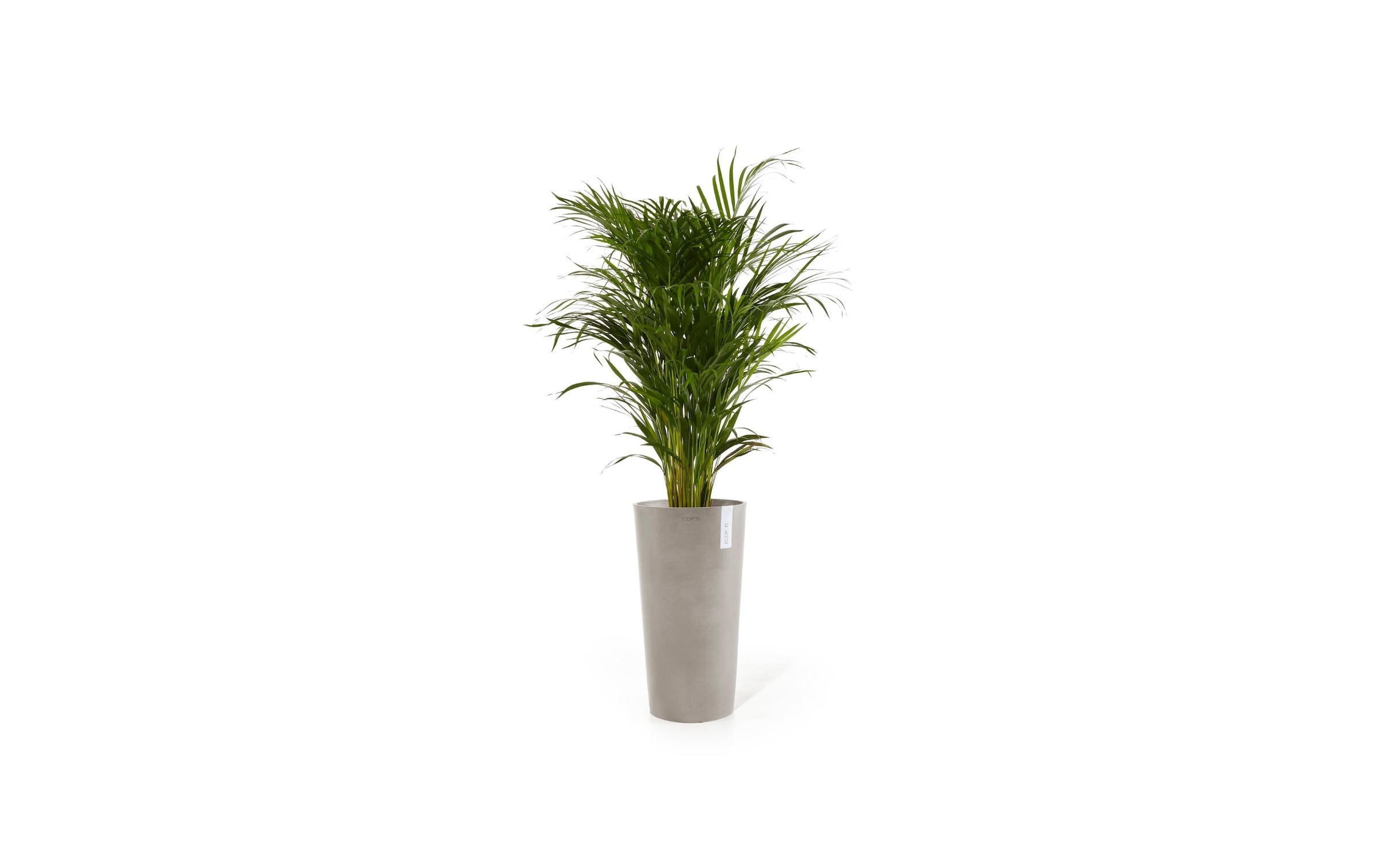 ECOPOTS Pot de fleurs »Amsterdam High Ø 76 cm«