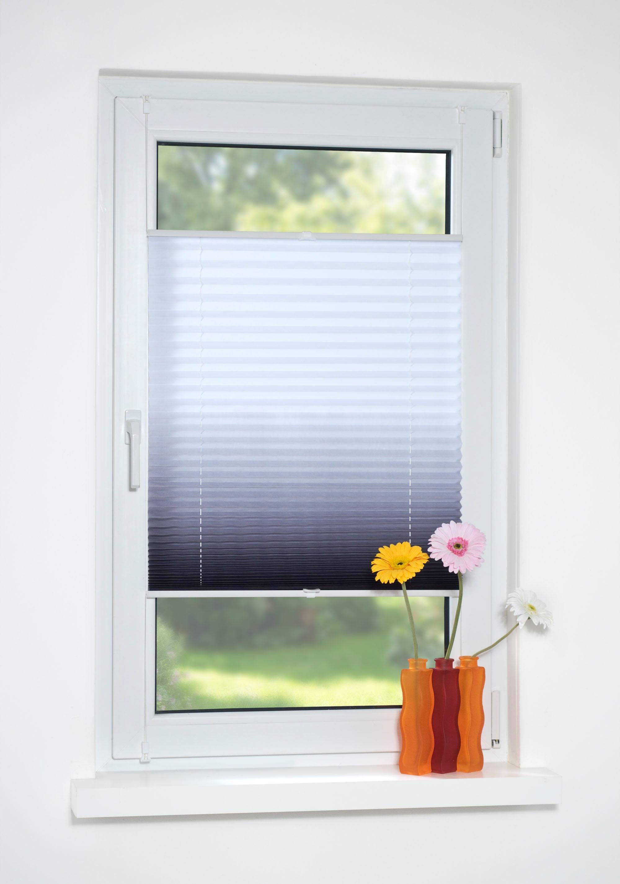 Liedeco Plissé »Farbverlauf« Lichtschutz ohne Bohren verspannt