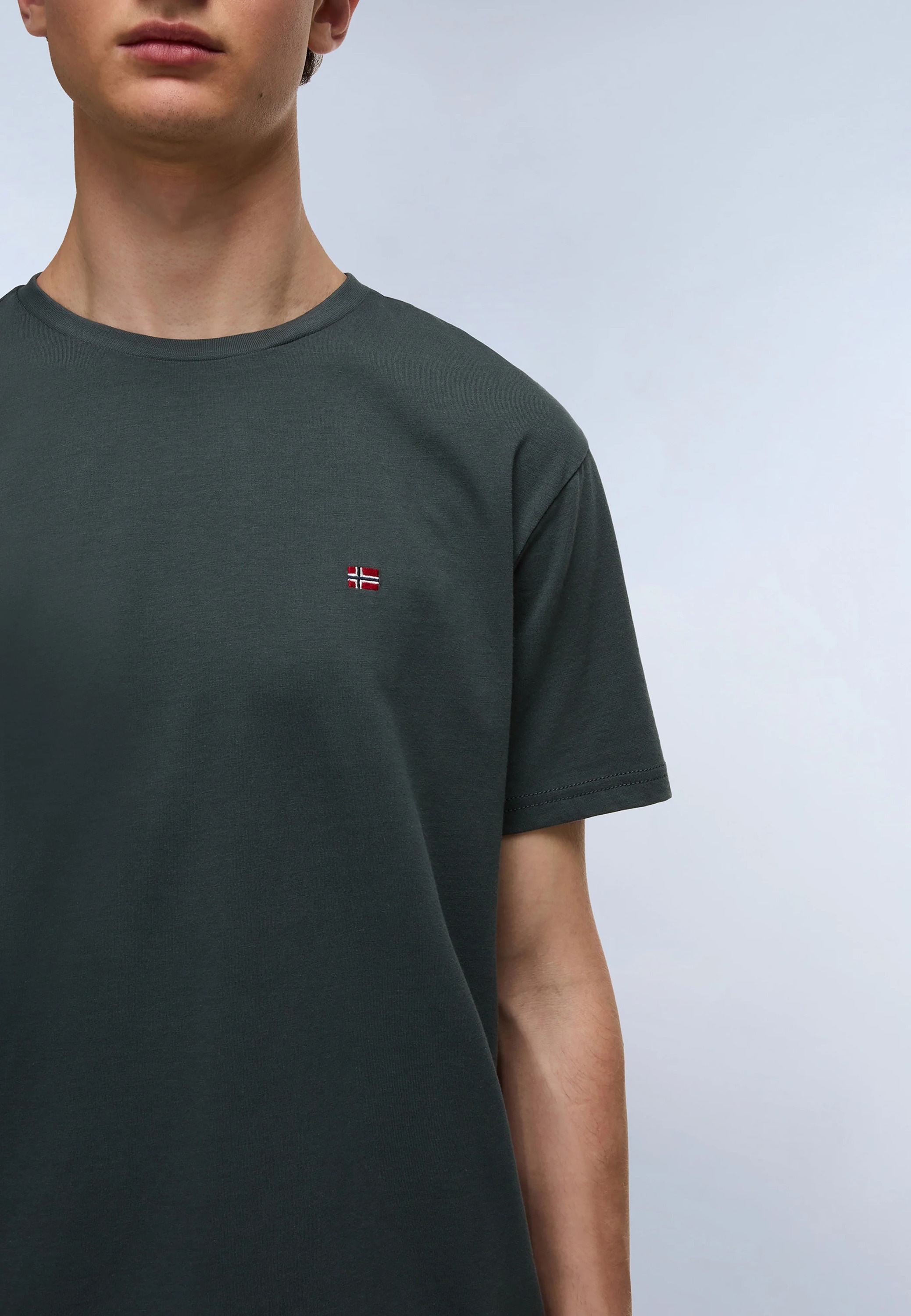 Napapijri T-Shirt »Napapijri T-Shirt SALIS SS«