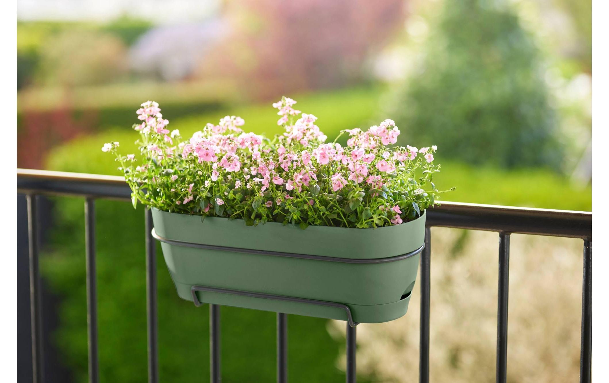 Elho Pot de fleurs »Vibia Campana Balkonkasten Allin1 50 cm«