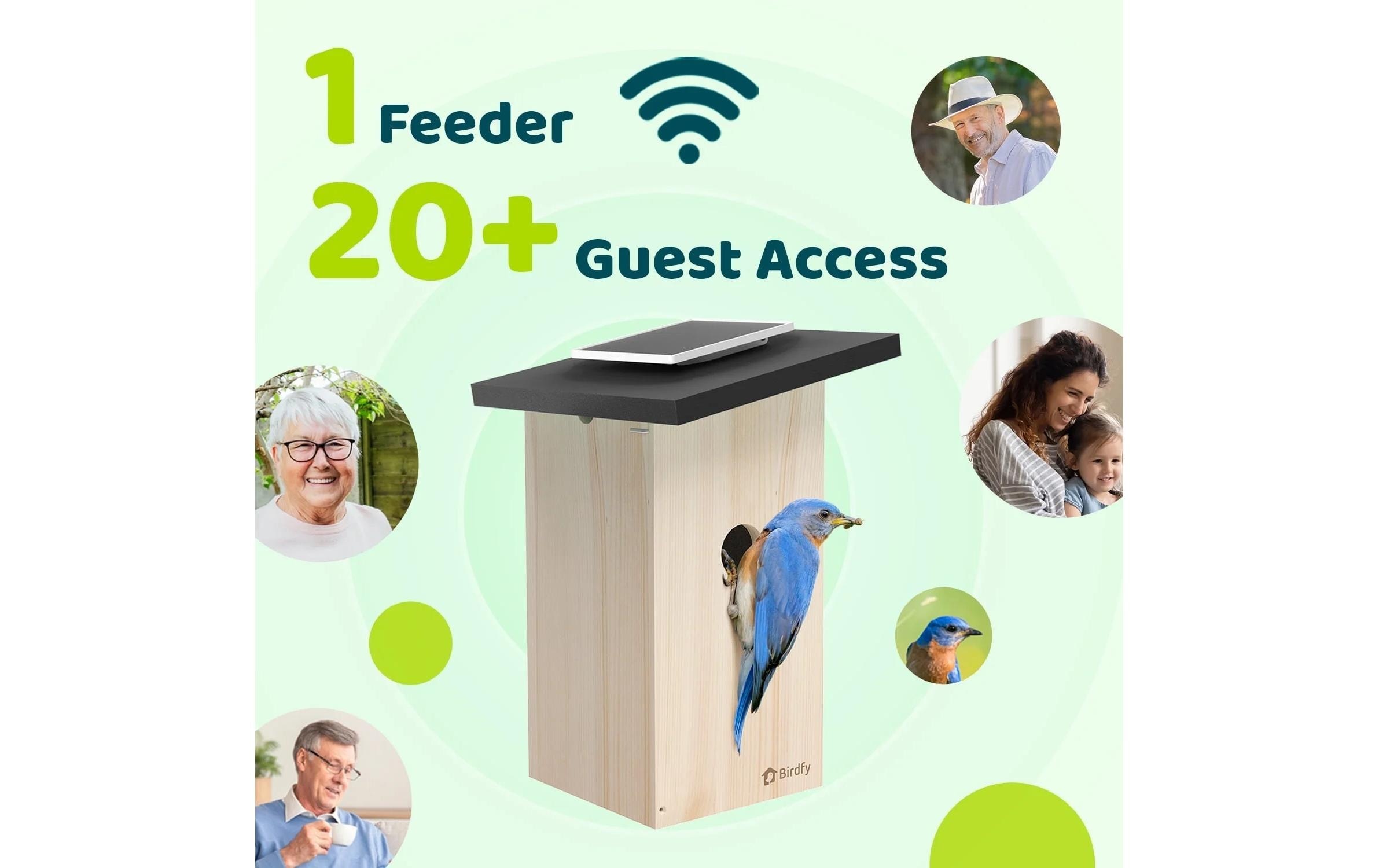 Birdfy Maison des oiseaux »Nistkasten mit Kamera und Solar«