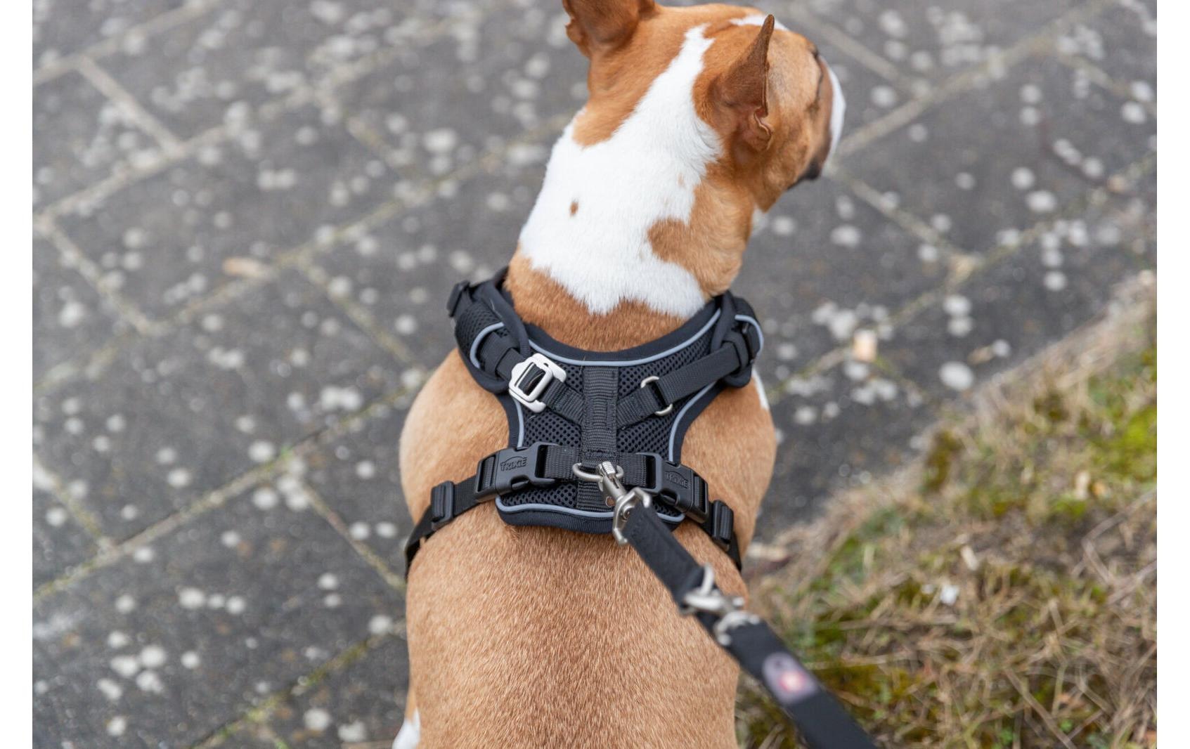 TRIXIE Hunde-Geschirr »Premium FlexMesh Geschir L« Mesh Geschirr mit spezellem Schnitt für kurze, kompakte Hunde