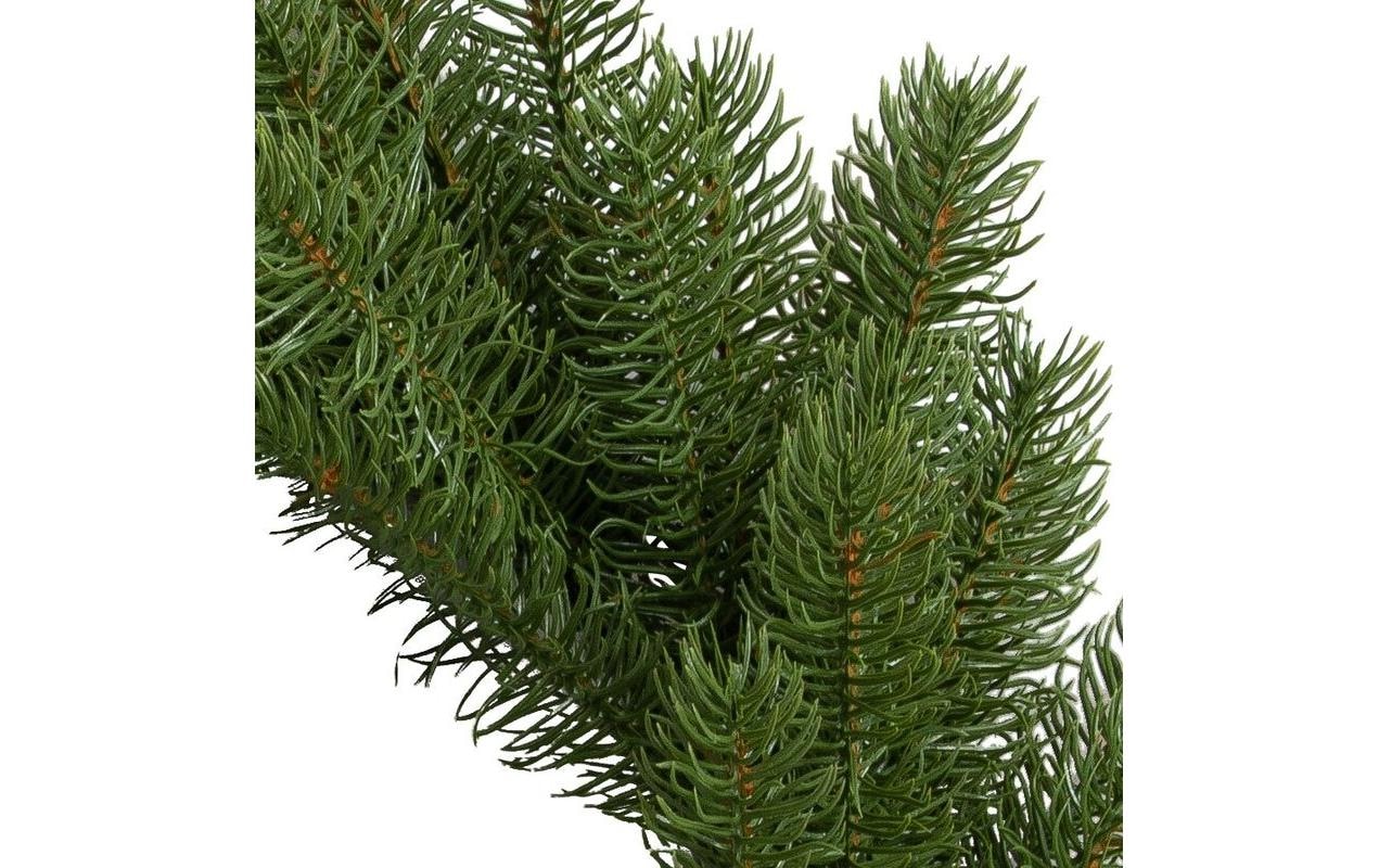 Botanic-Haus Couronne de l'Avent »De Luxe«