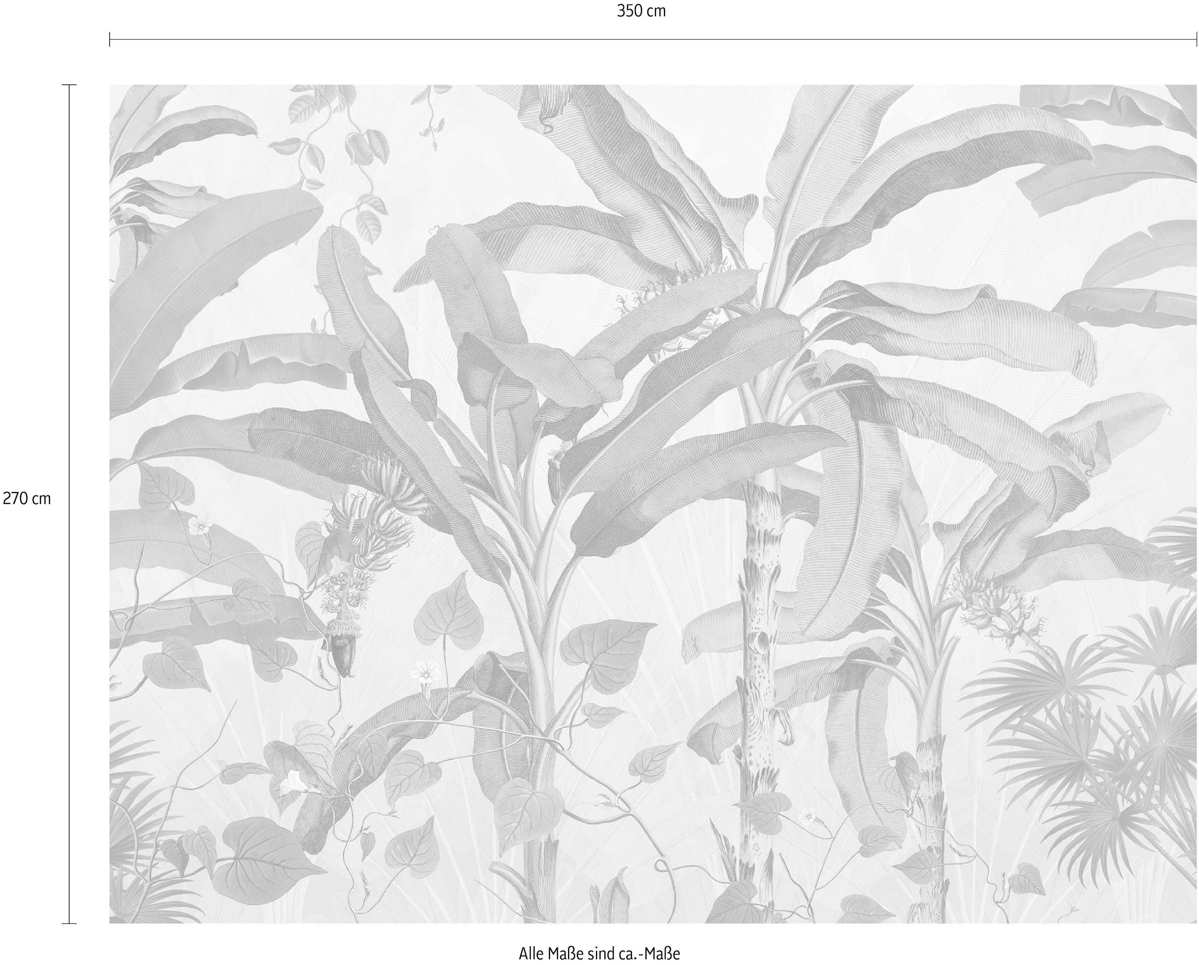 Komar Papier peint intissé »Digitaldruck Vlies -  Plantation - Grösse 350 x 270 cm« imprimé lisse salon, chambre à coucher