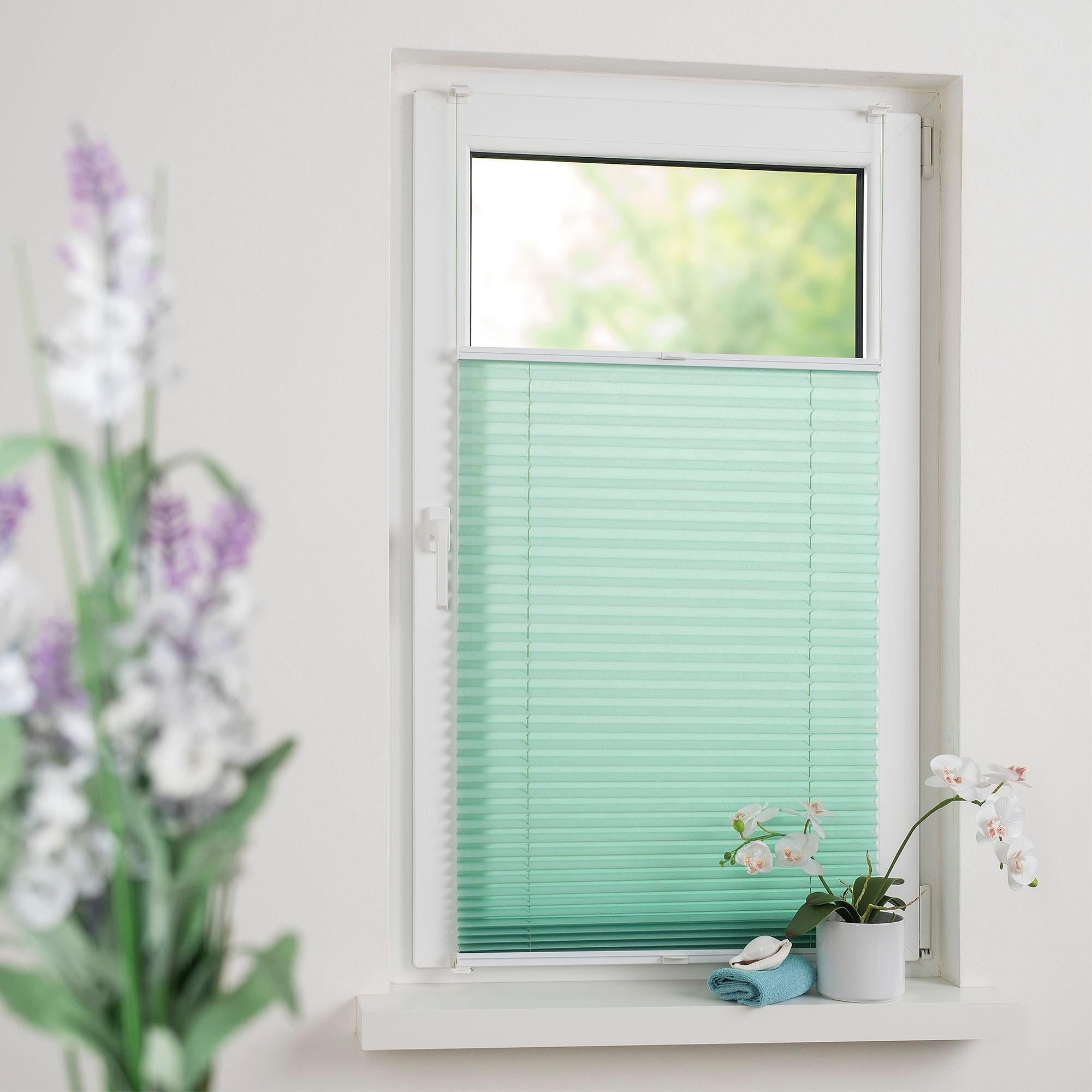 Liedeco Plissee »Pastell« Lichtschutz ohne Bohren verspannt Klemmfix-Plissee, Pastell