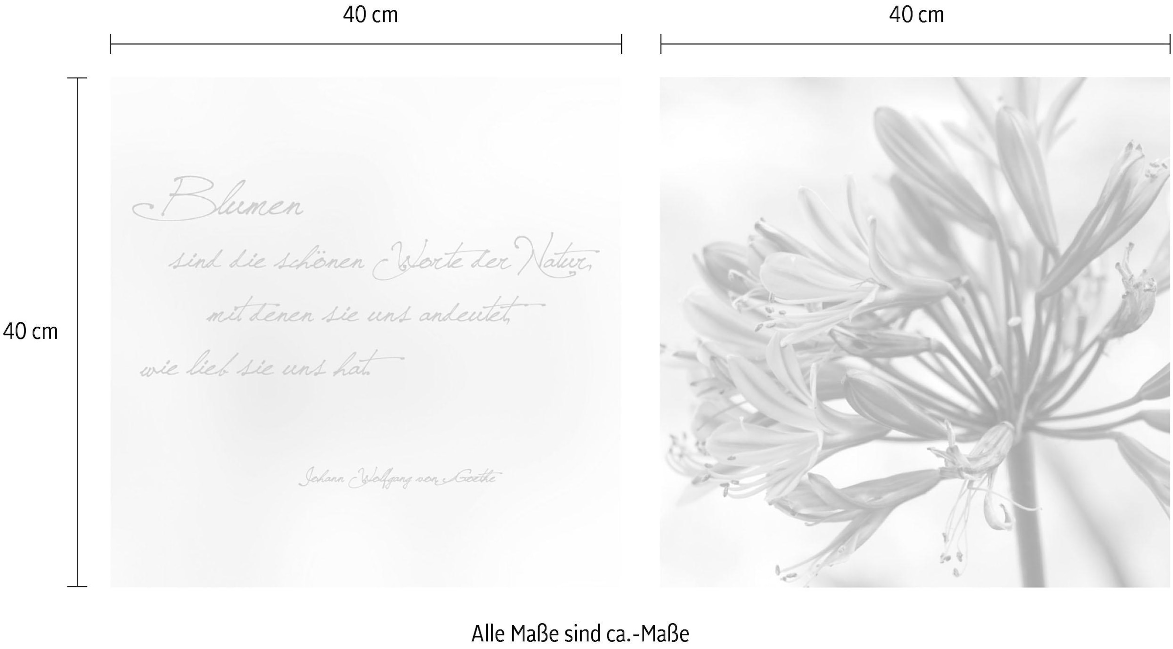 queence Leinwandbild »Worte der Natur« Blätter | Blätterbilder | Kunst | Modern | Schriftzug | Schriftzüge | Spa | Spa Bilder | Sprüche | Sprüche & Texte Set,  Premium-Leinwandstoff, Handarbeit aus Deutschland, Zitat, 2er Set
