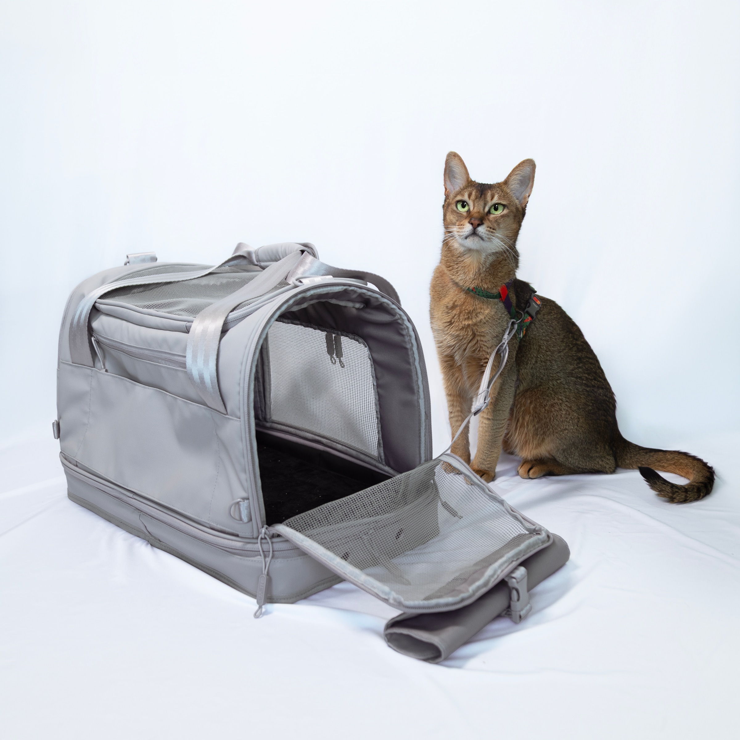 Heys Sac de transport pour animaux »Heys Pawsenger« valise pour animaux, sac de transport pour animaux, adapté pour bagage à main selon la recommandation IATA