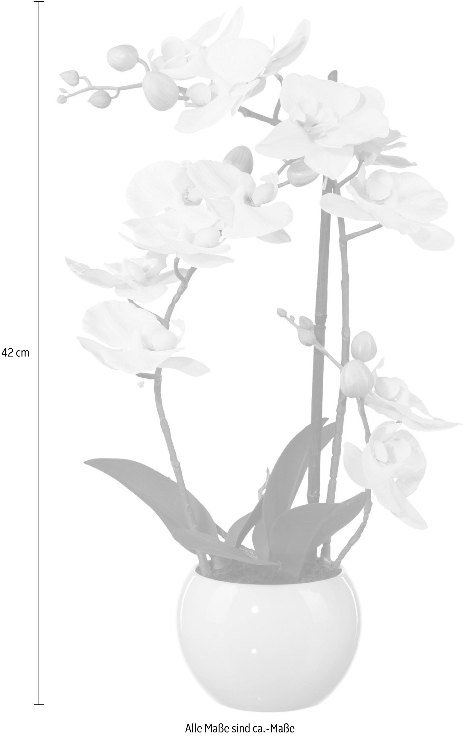 Creativ green Kunstpflanze »Phalaenopsis«