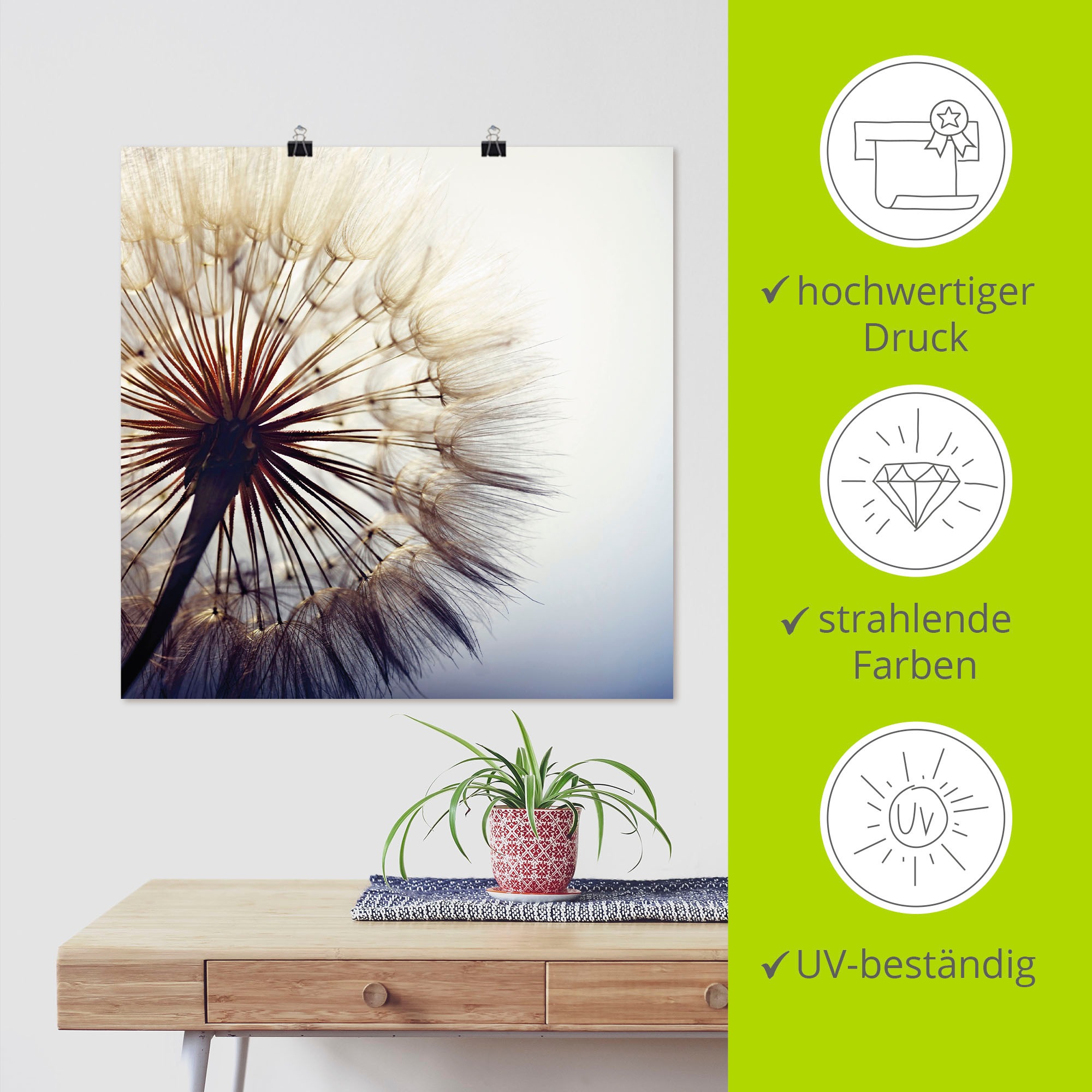 Artland Wandbild »Grosse Pusteblume« Blumen 1 Stk. tlg. als Alubild, Outdoorbild, Leinwandbild, Poster, Wandaufkleber