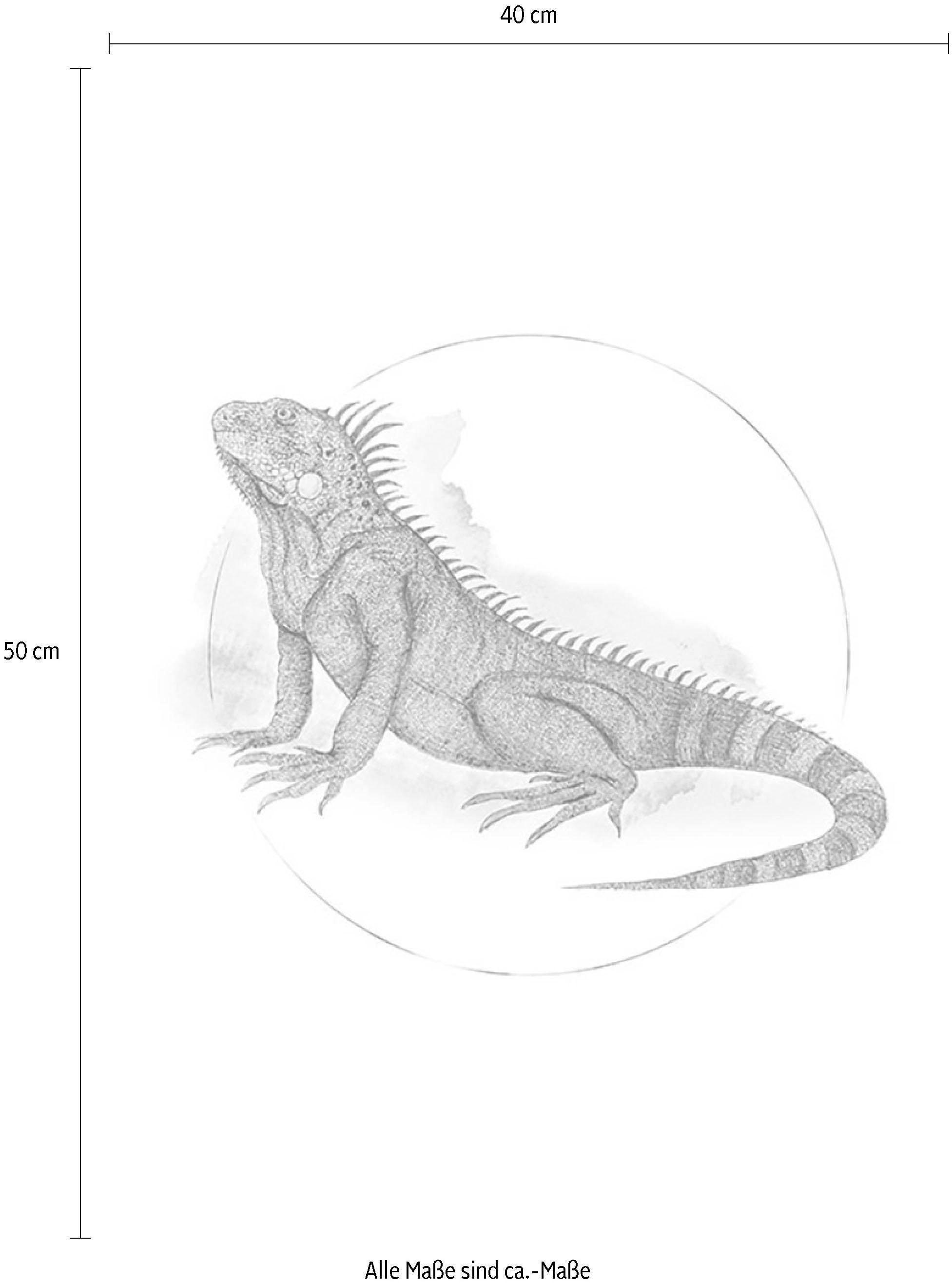 Komar Image »Iguana Watercolor« 1 cuis tlg. Wandbild zur Dekoration - ohne Rahmen