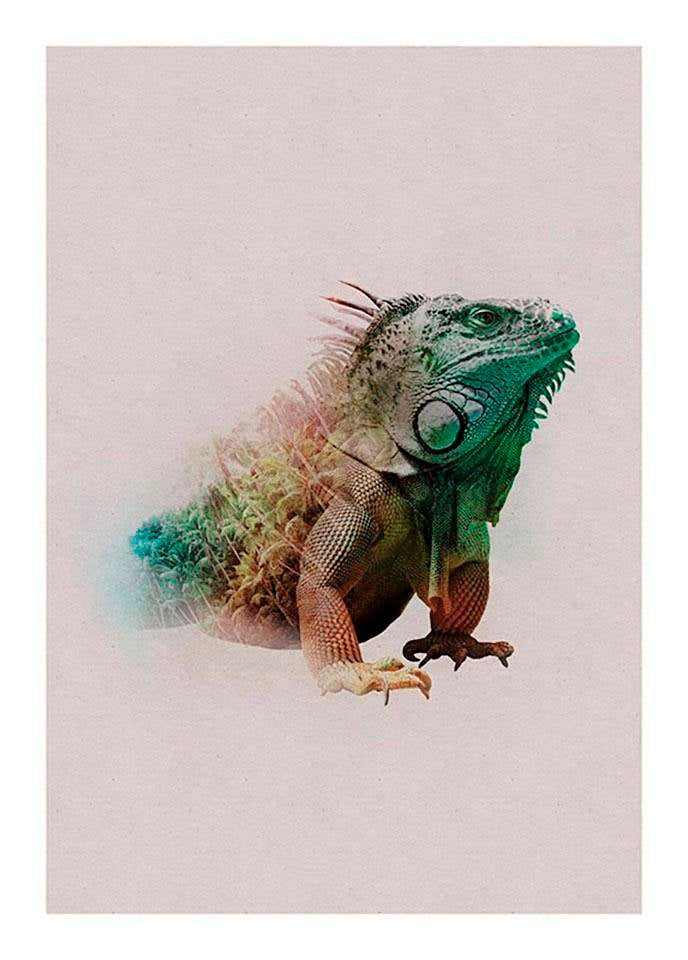 Komar Image »Animals Paradise Iguana« 1 cuis tlg. Wandbild zur Dekoration - ohne Rahmen