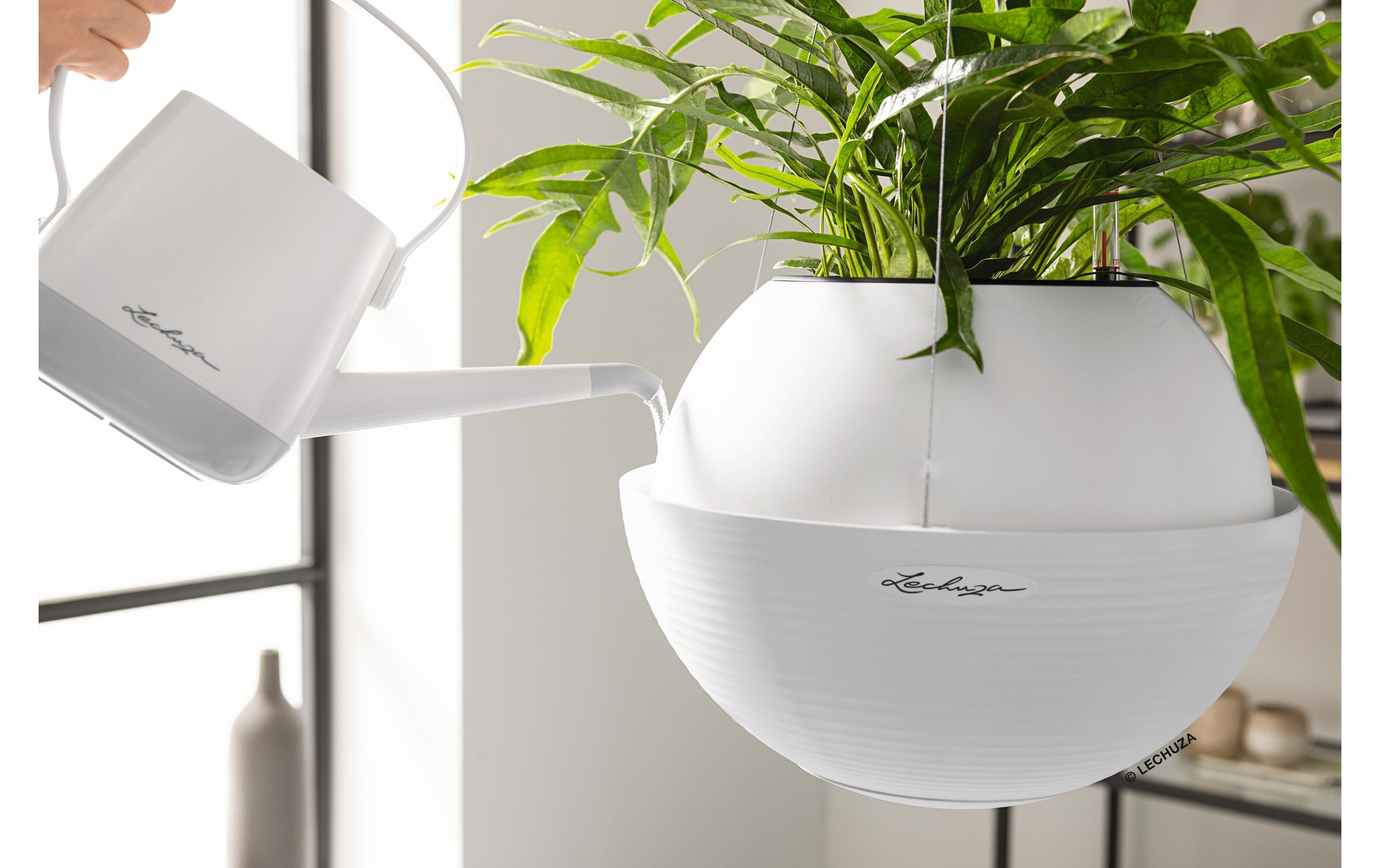   Bac à plantes »Bola Color 23«