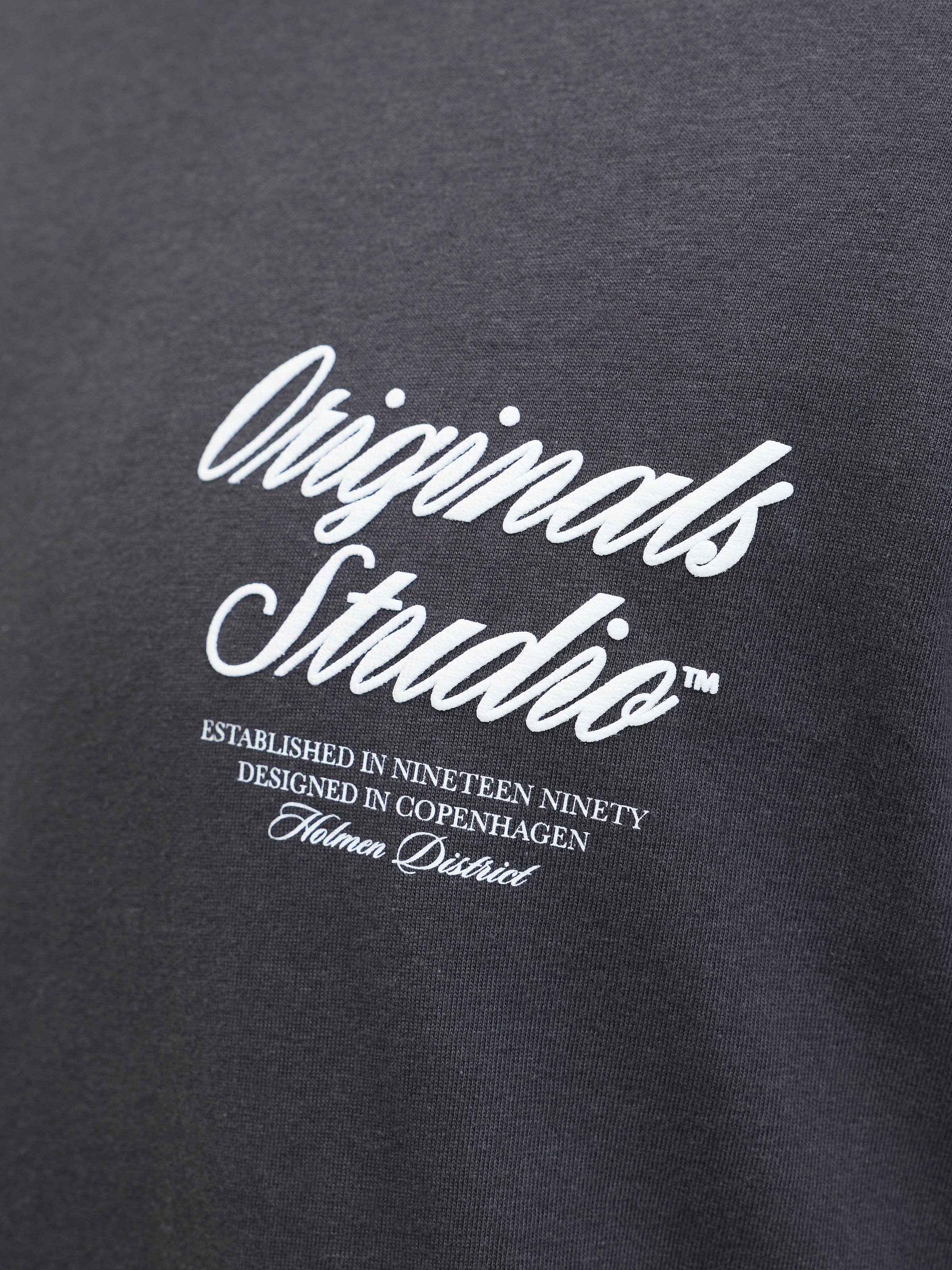 Jack & Jones PlusSize Kurzarmshirt »JORNORREBRO TYPO TEE SS CREW NECK  PLS«, mit Schriftzug
