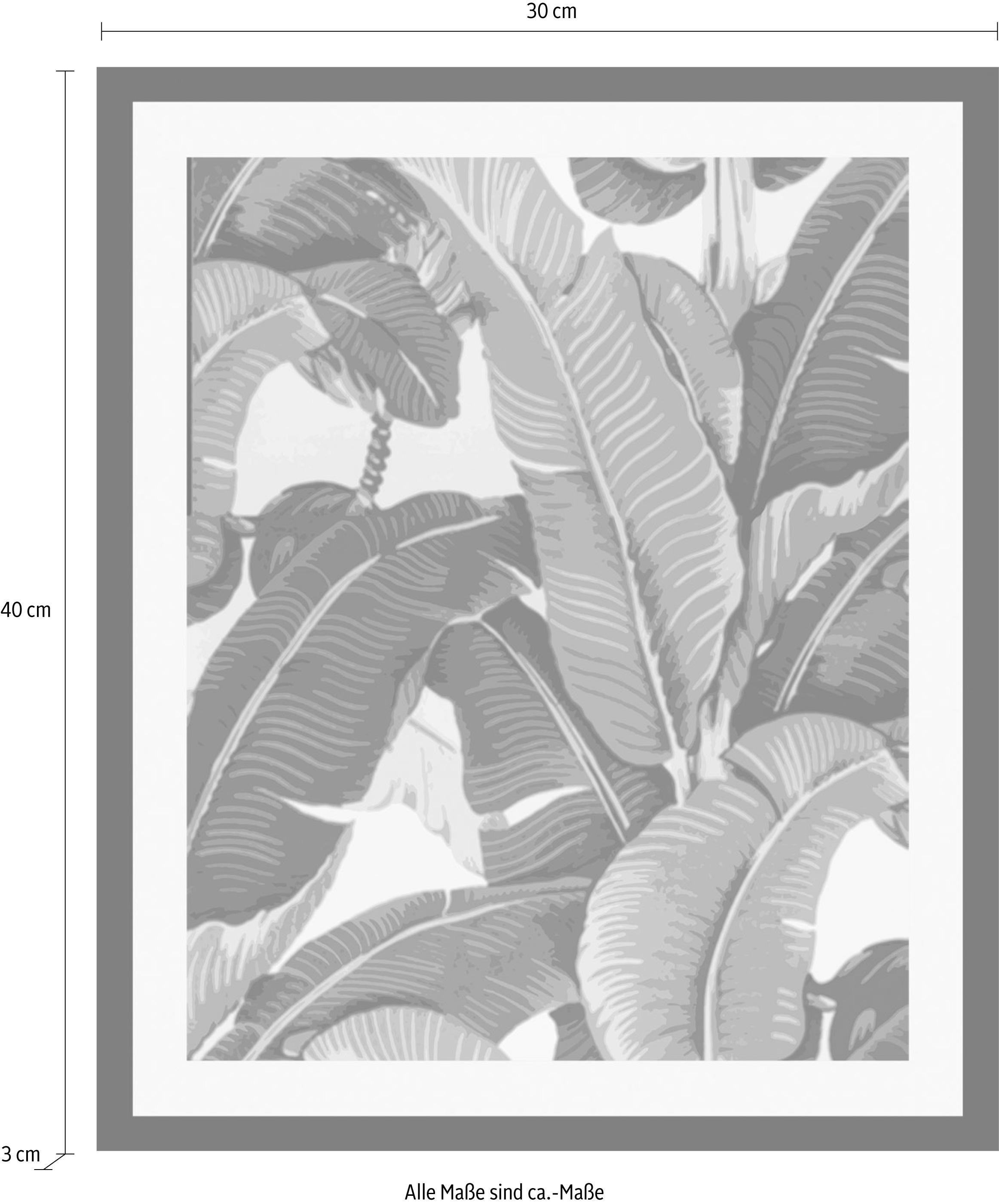 queence Bild »Blätter« Blätter | Blätterbilder | Pflanzen | Pflanzenbilder HD Premium Poster-Druck inkl. Holzrahmen