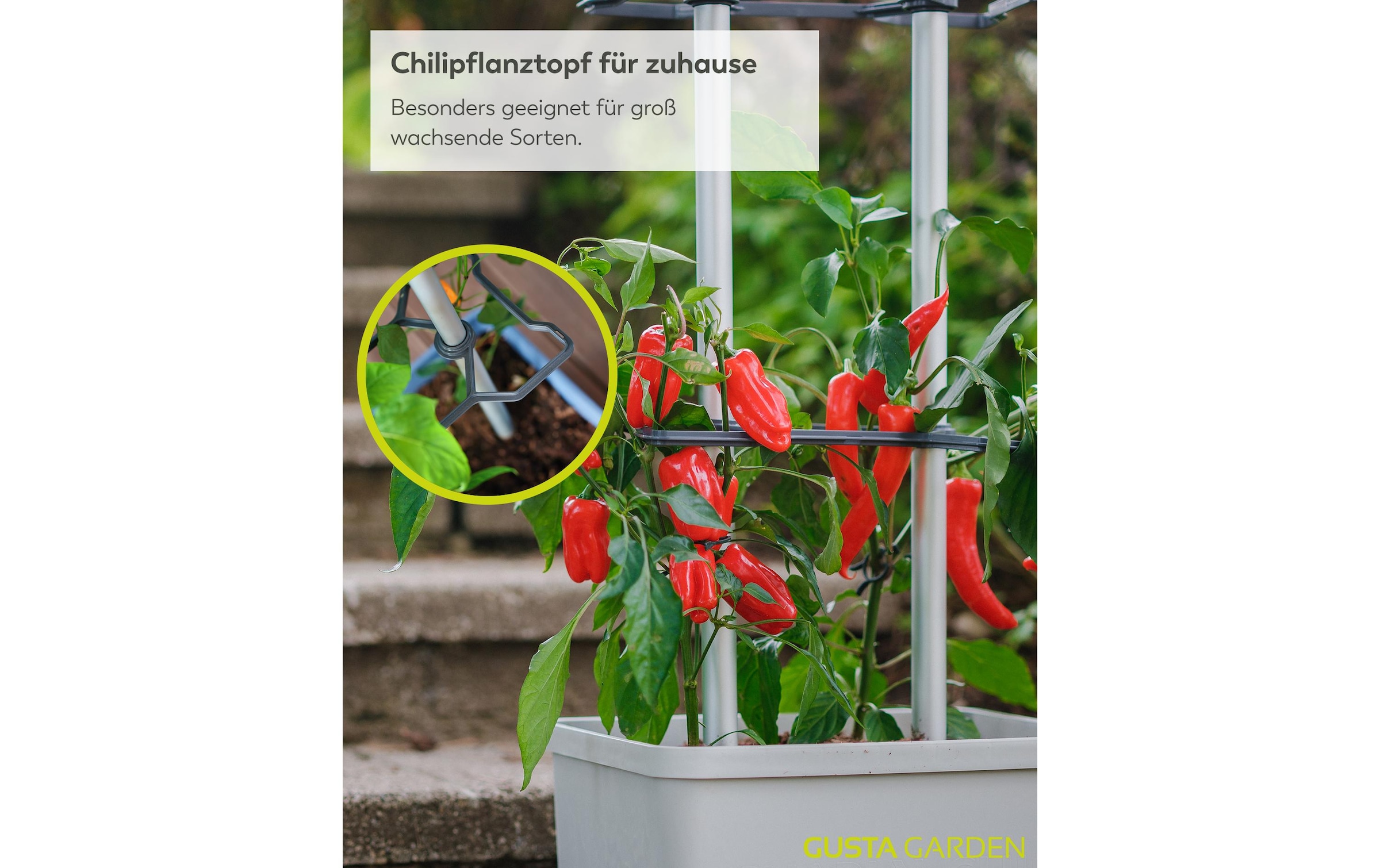 Gusta Garden Anzuchttopf »Charly Chili XL«