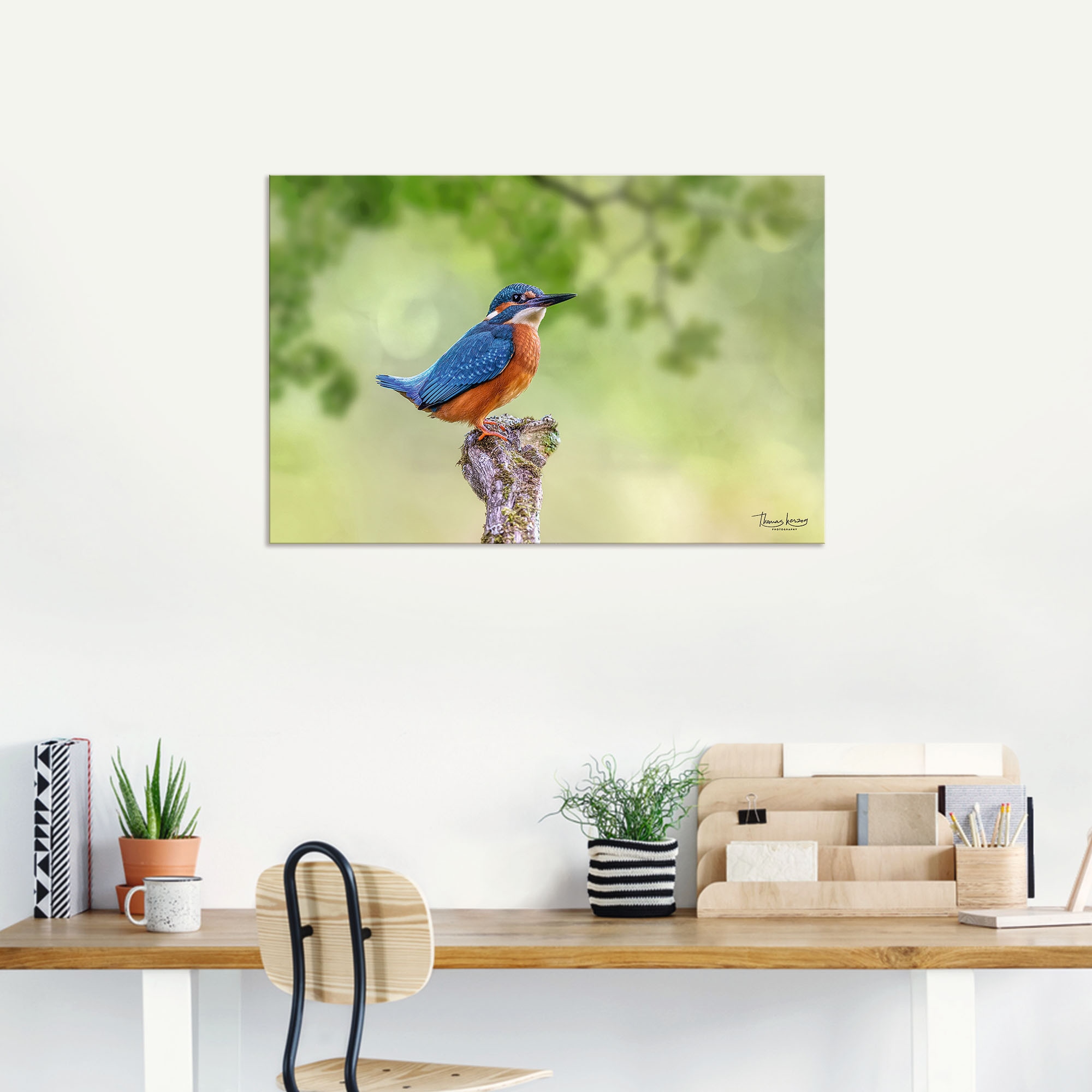 Artland Alu-Dibond-Druck »Eisvogel II« Vogelbilder 1 Stk. tlg. für Innen- und Aussenbereich geeignet, Outdoorbild