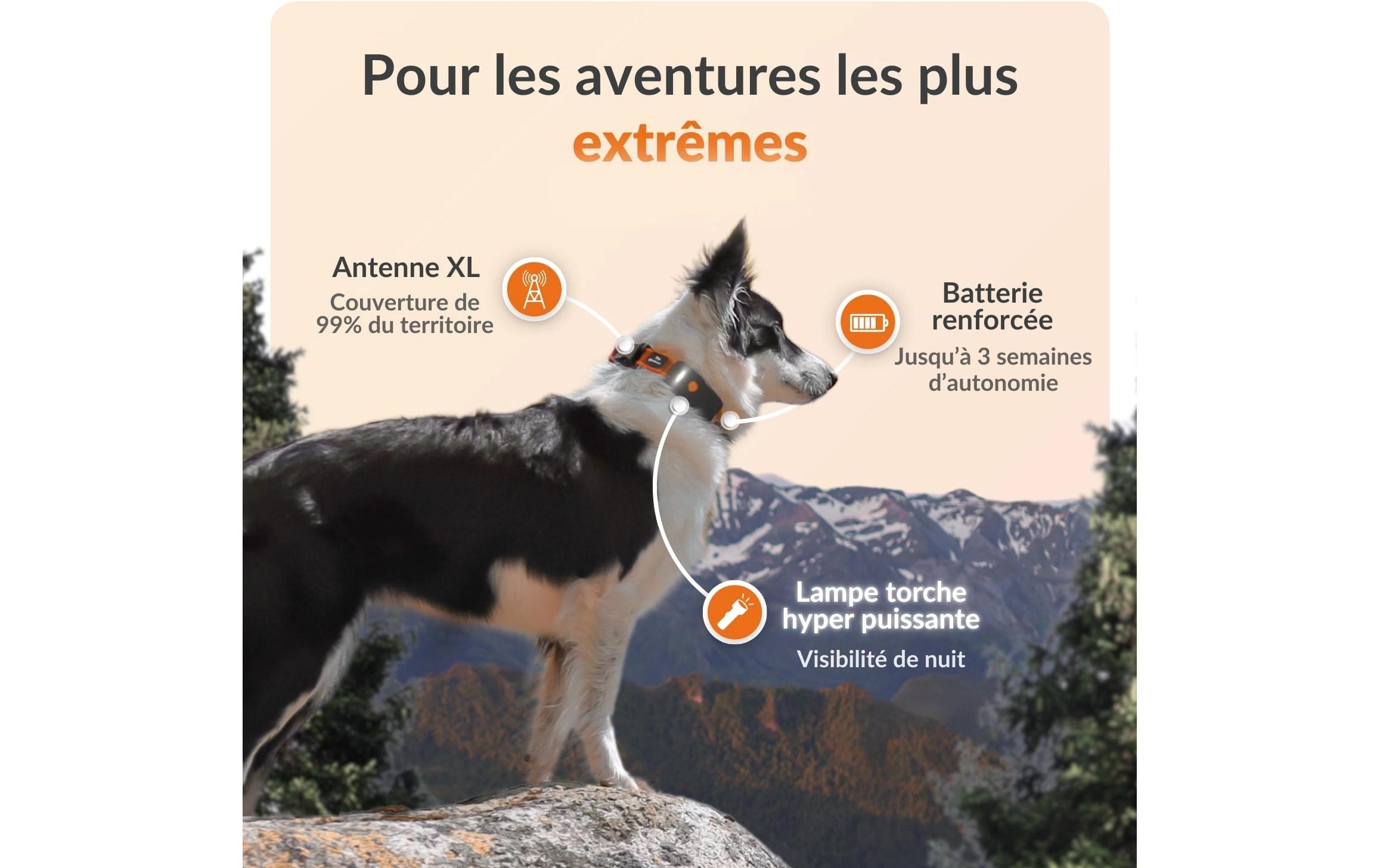   GPS-Hundetracker »Weenect für Hunde XT mit Halsband«