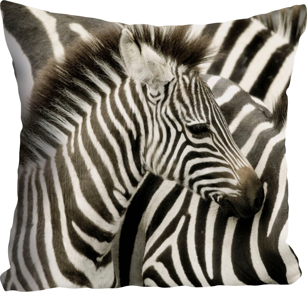 queence Coussin décoratif »Richard« Kissenhülle,Zebras,Schwarz-Weiss,Tiere,Streifenmuster,Afrikanisch,Wild