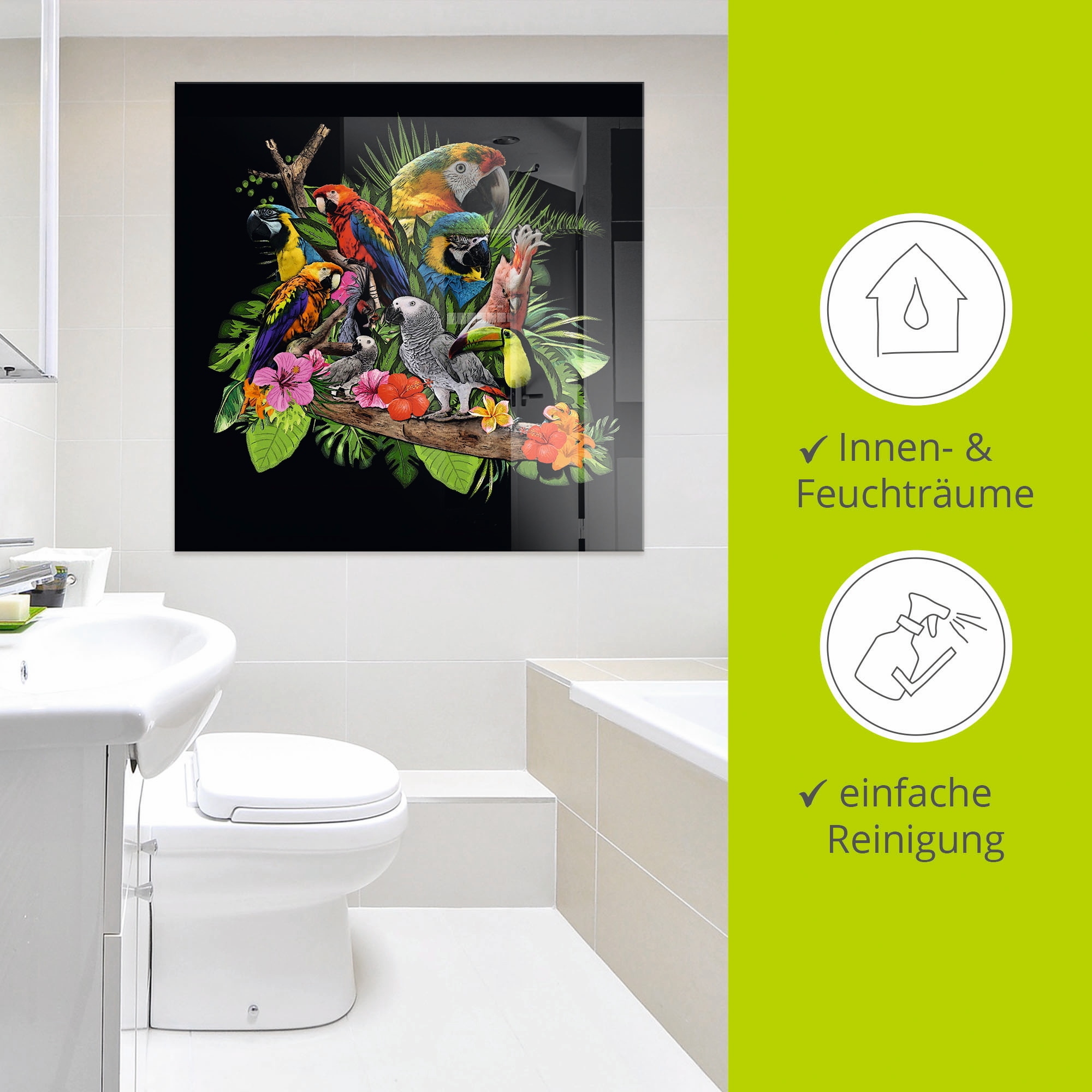 Artland Glasbild »Papageien Graupapagei Kakadu Dschungel« Vögel 1 Stk. tlg. in verschiedenen Grössen