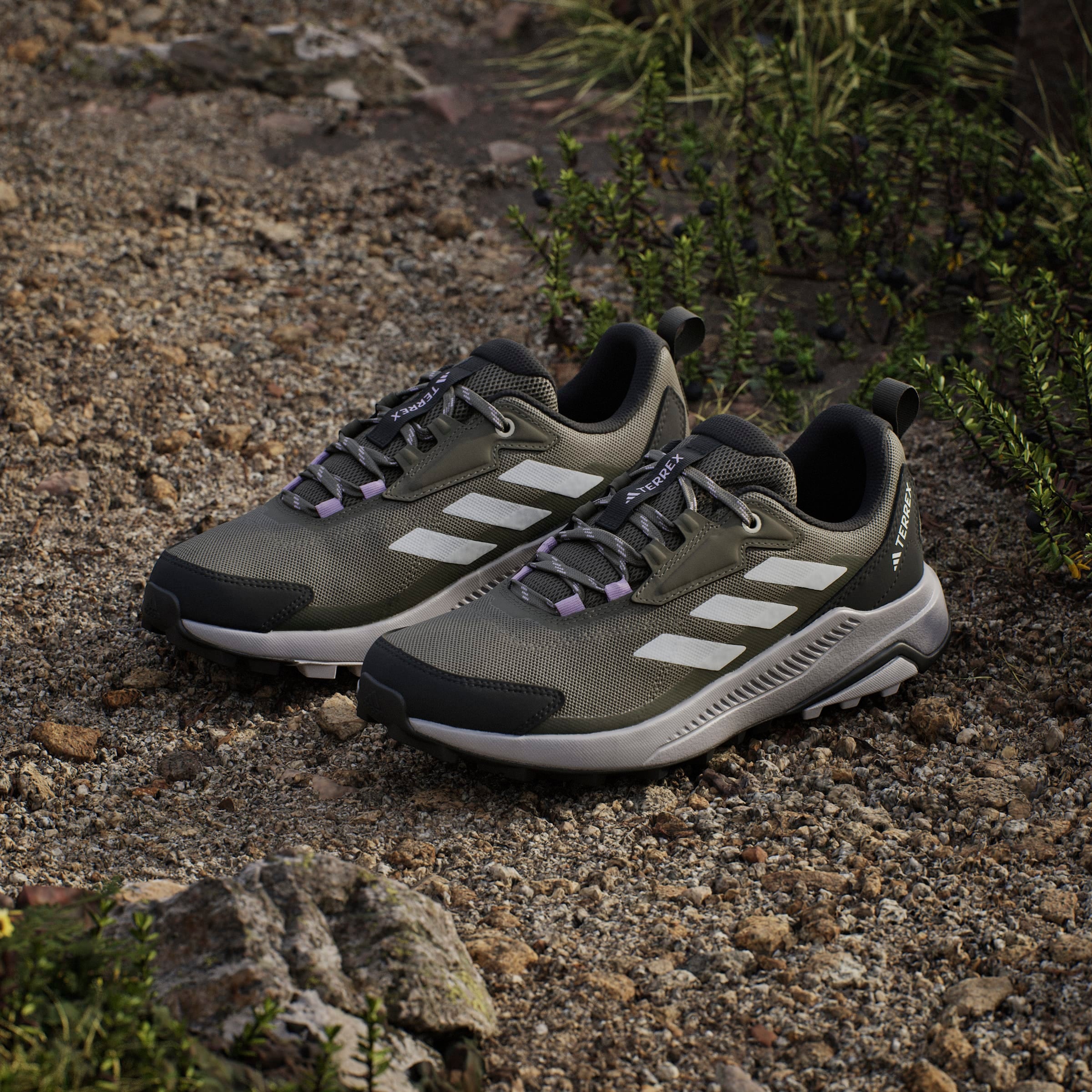 adidas TERREX Wanderschuh »TERREX ANYLANDER«