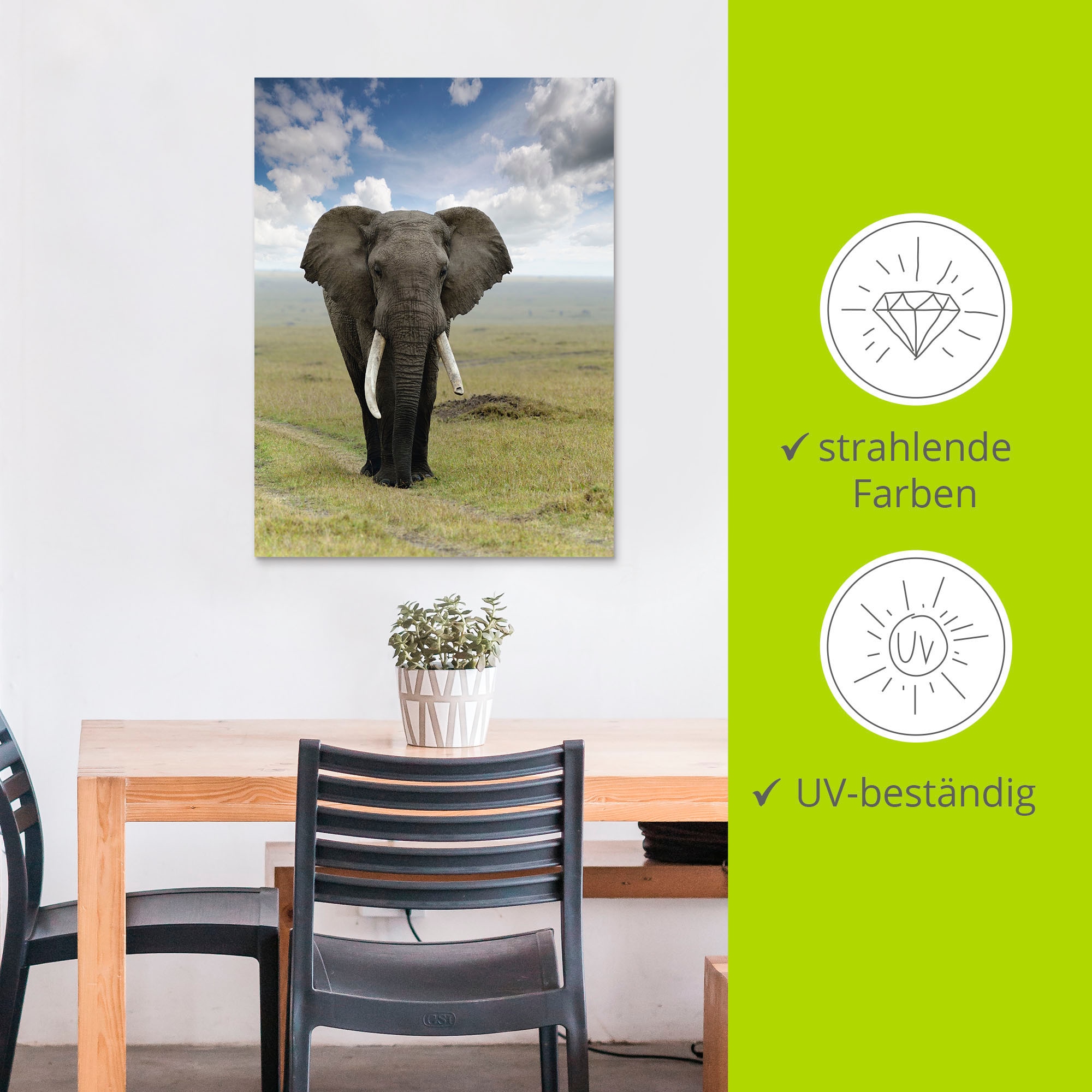 Artland Wandbild »Elefant« Wildtiere 1 Stk. tlg. als Alubild, Leinwandbild in verschied. Grössen
