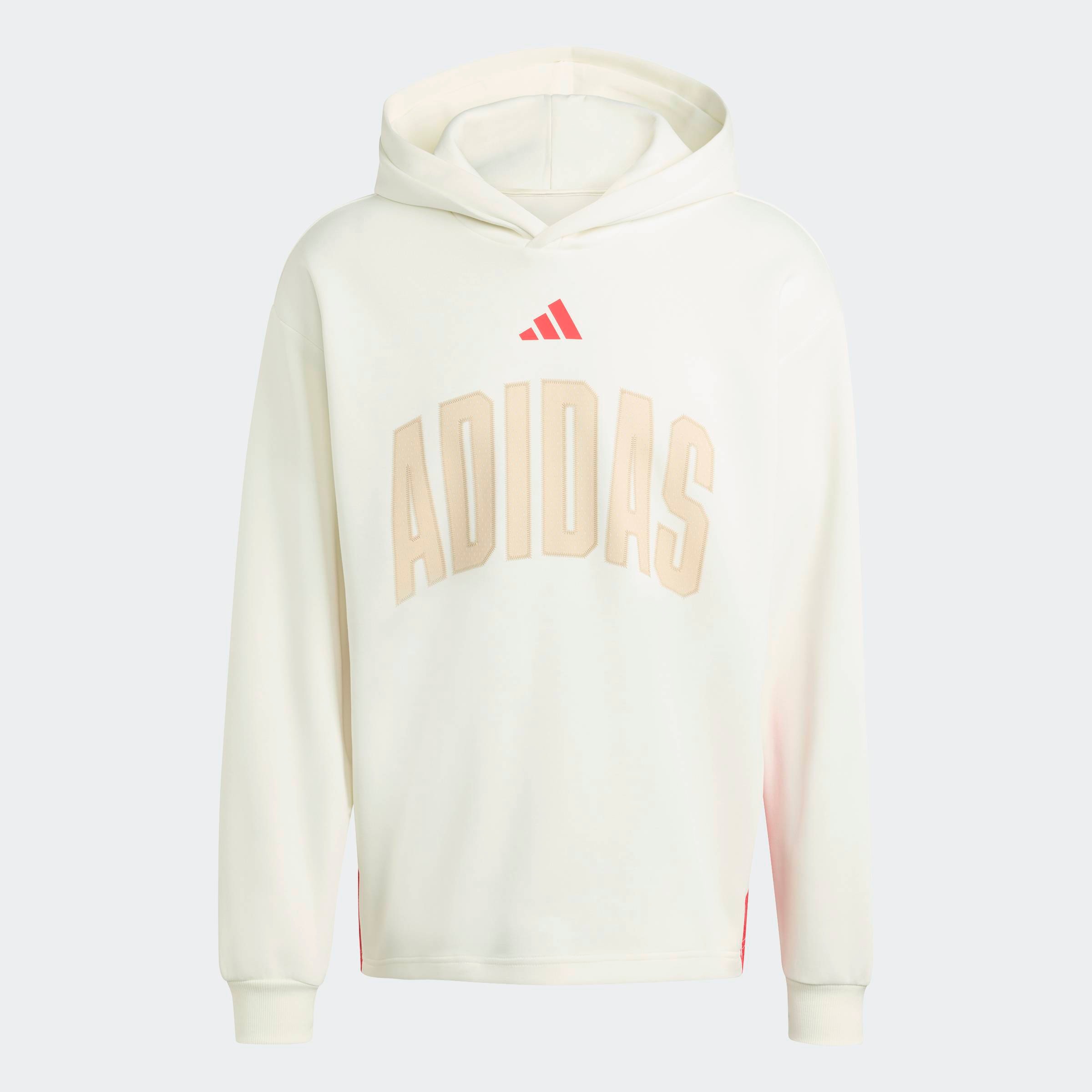 adidas Sportswear Sweat à capuche »STADIUM GRAPHIC HOODIE«
