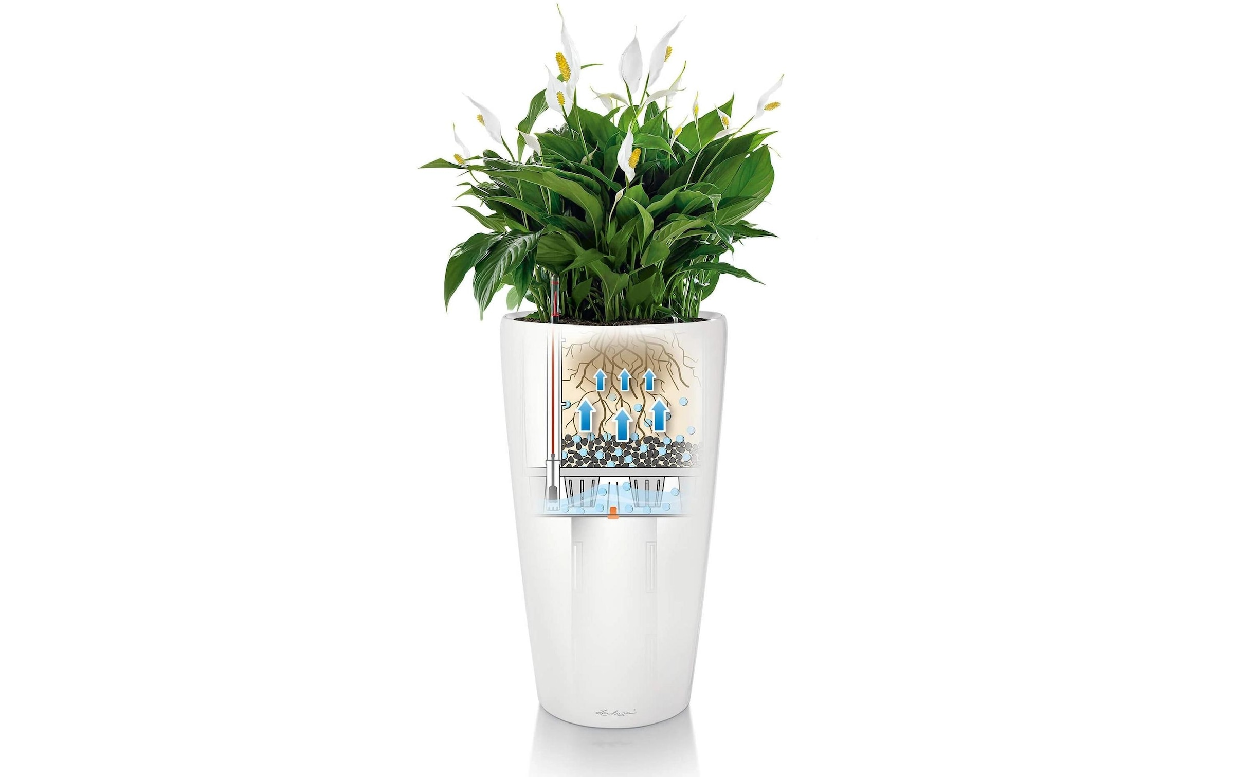   Blumentopf »Lechuza RONDO Premium 40«