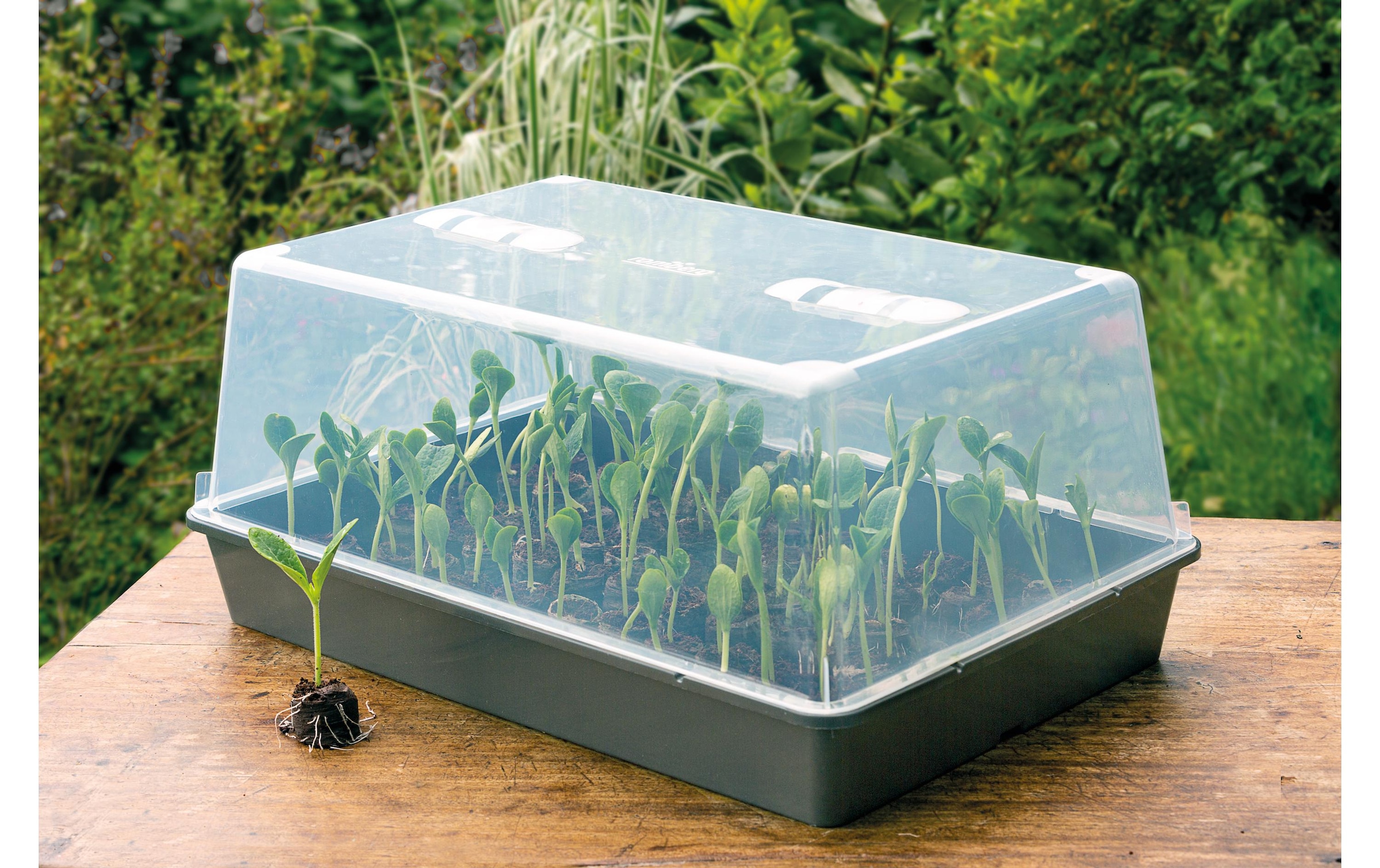   Gewächshaus »Romberg XXL mit Belüftung,stabil,lose Ware«