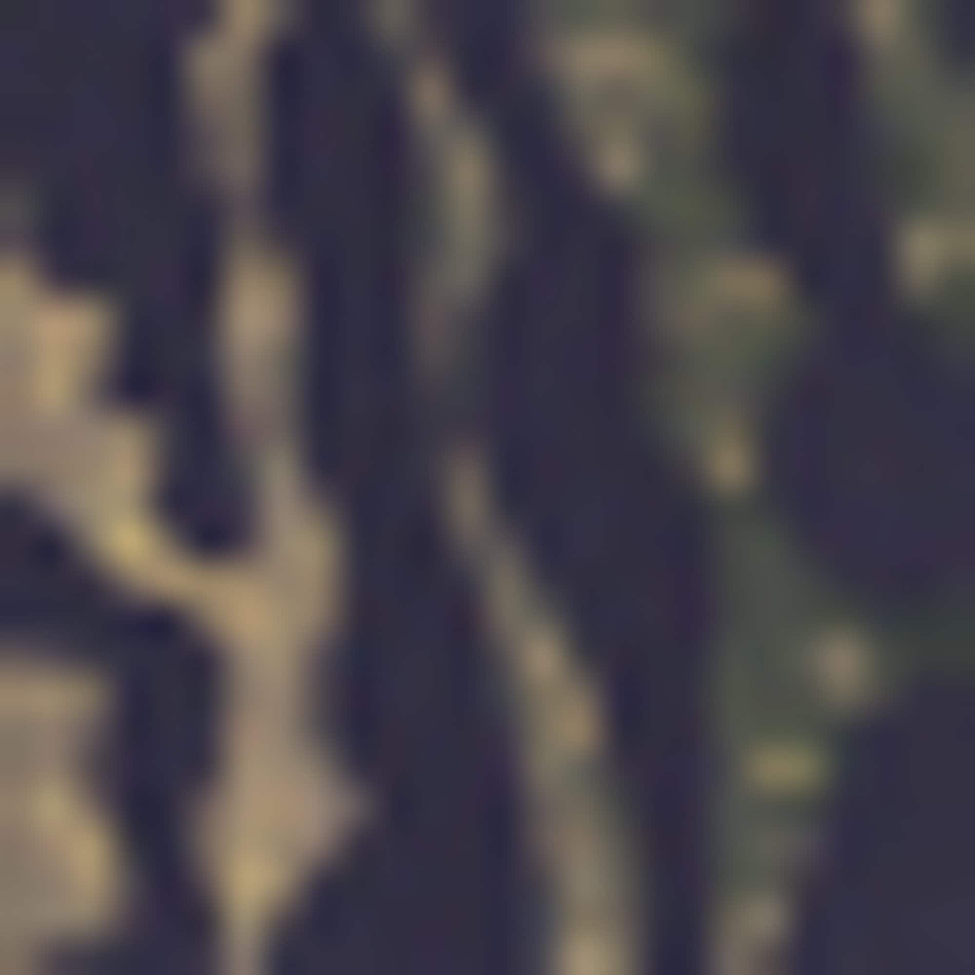 HUGO Underwear Short de bain »Jose« elastischer Bund, bedruckt, schnelltrocknend