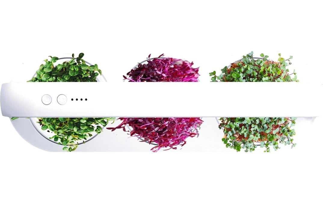 Click and Grow Jardinière »MicroBuddy, 38 cm« Kompakter Indoor-Kultivator für frische Microgreens