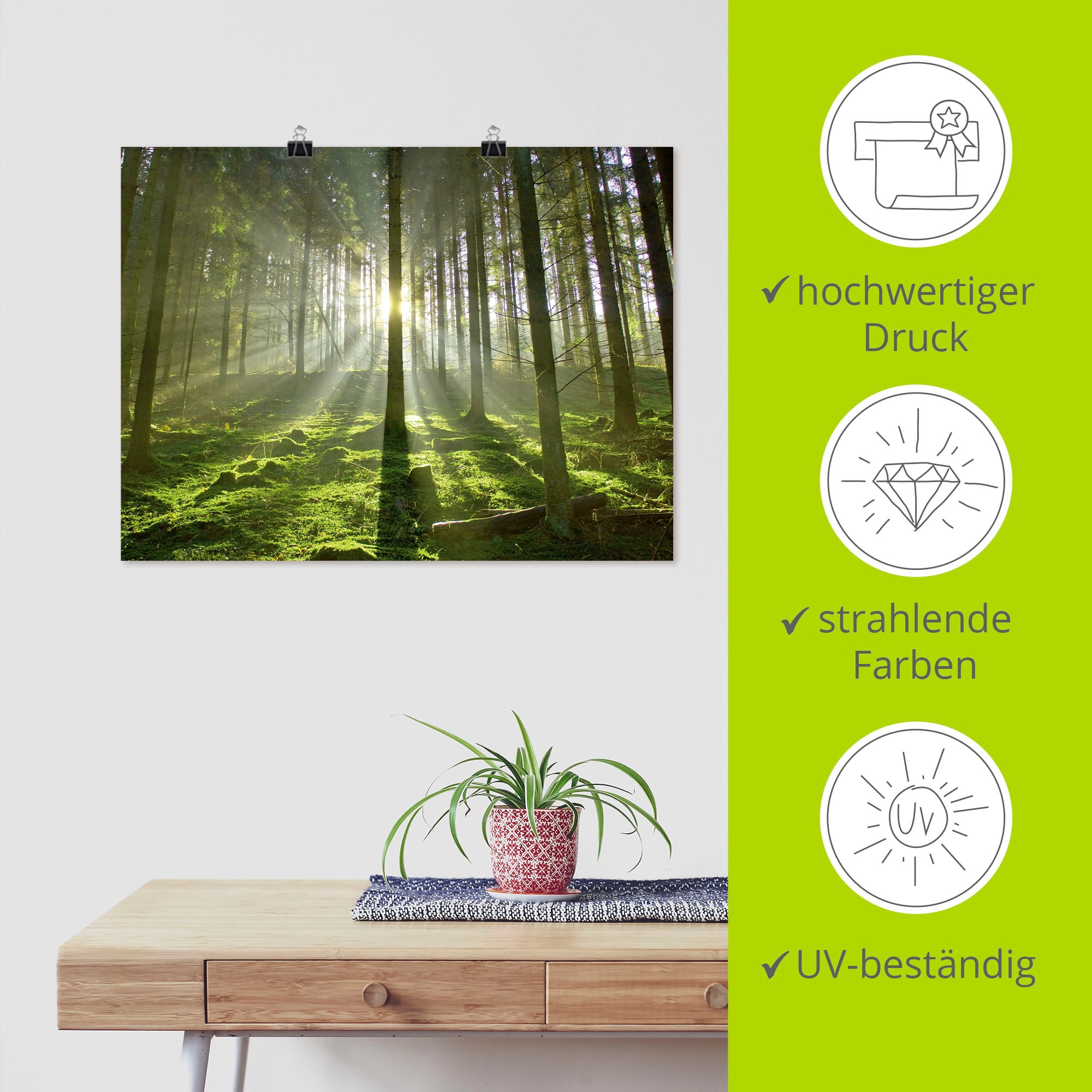 Artland Fresque murale »Wald im Gegenlicht« 1 cuis tlg. als Leinwandbild, Poster in verschied. Grössen