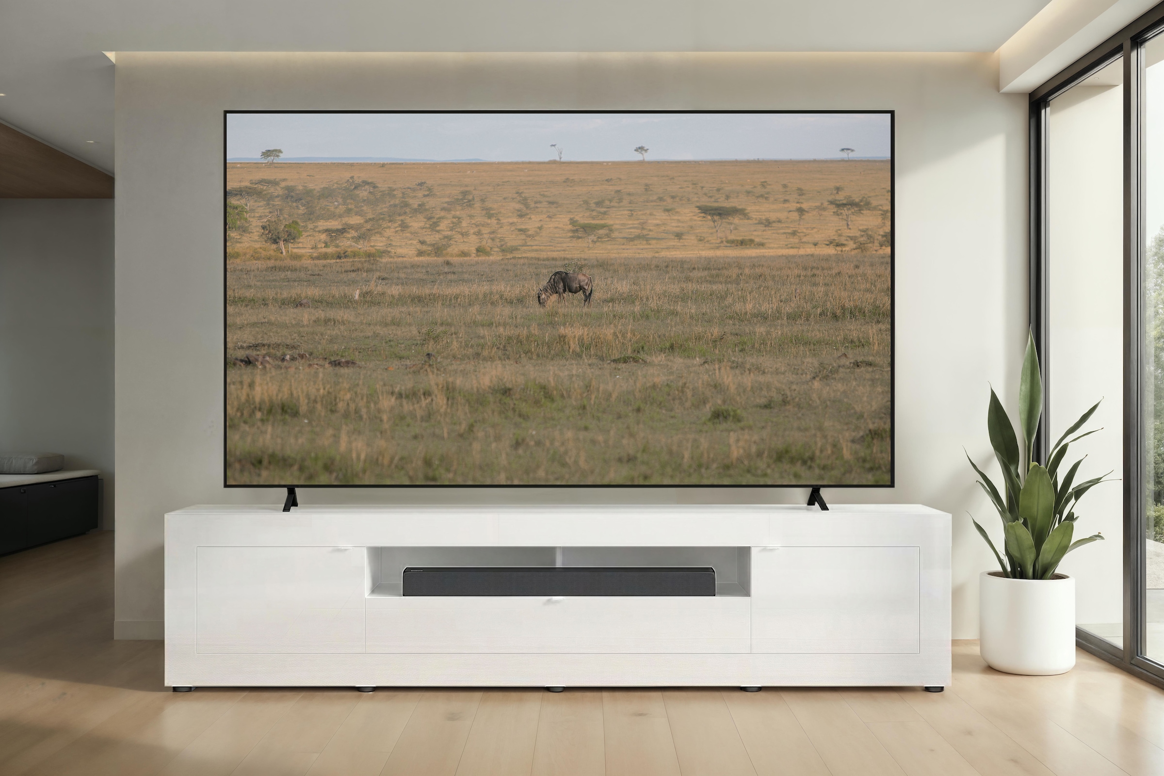 Home affaire Table basse »Basic, 245 cm breit, 47 cm tief, 2 Türen, 1 Schubkasten, Medienboard« Modernes Lowboard für bis zu 98-Zoll-TV – perfekt für die WM
