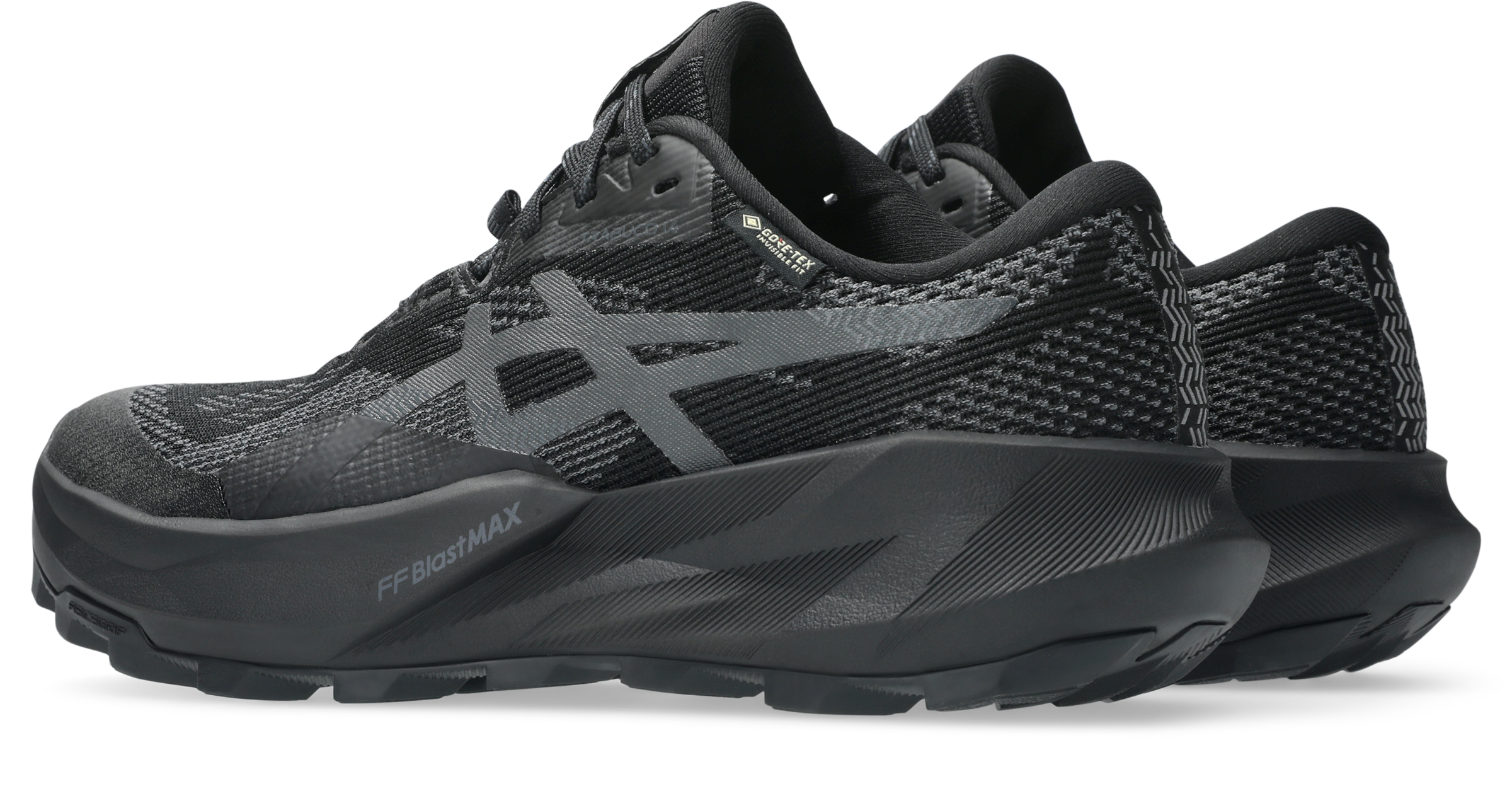 Asics Trailrunningschuh »TRABUCO 14 GORE-TEX®«  wasserdicht