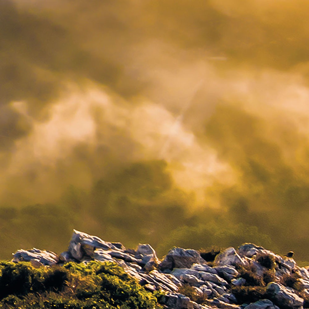 Komar Fototapete »Vlies Fototapete - Soul of Light - Grösse 400 x 250 cm« Motiv | bedruckt glatt