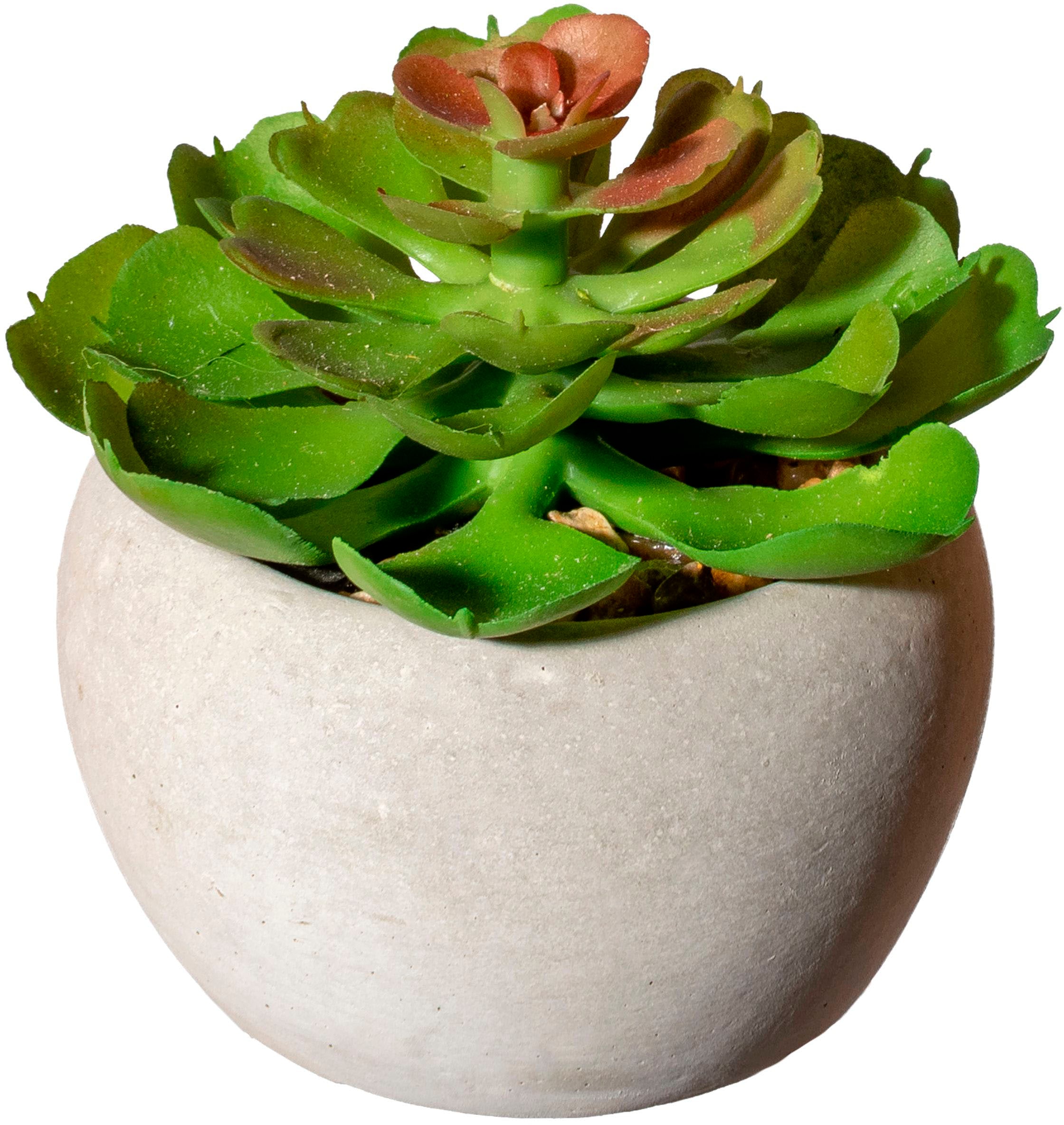 Creativ green Plante d'intérieur artificielle »Sukkulenten« Deko-Pflanze im Zementtopf, 6er Set