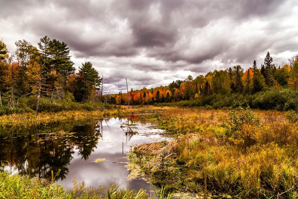 Papermoon Papier peint photo »Fluss«