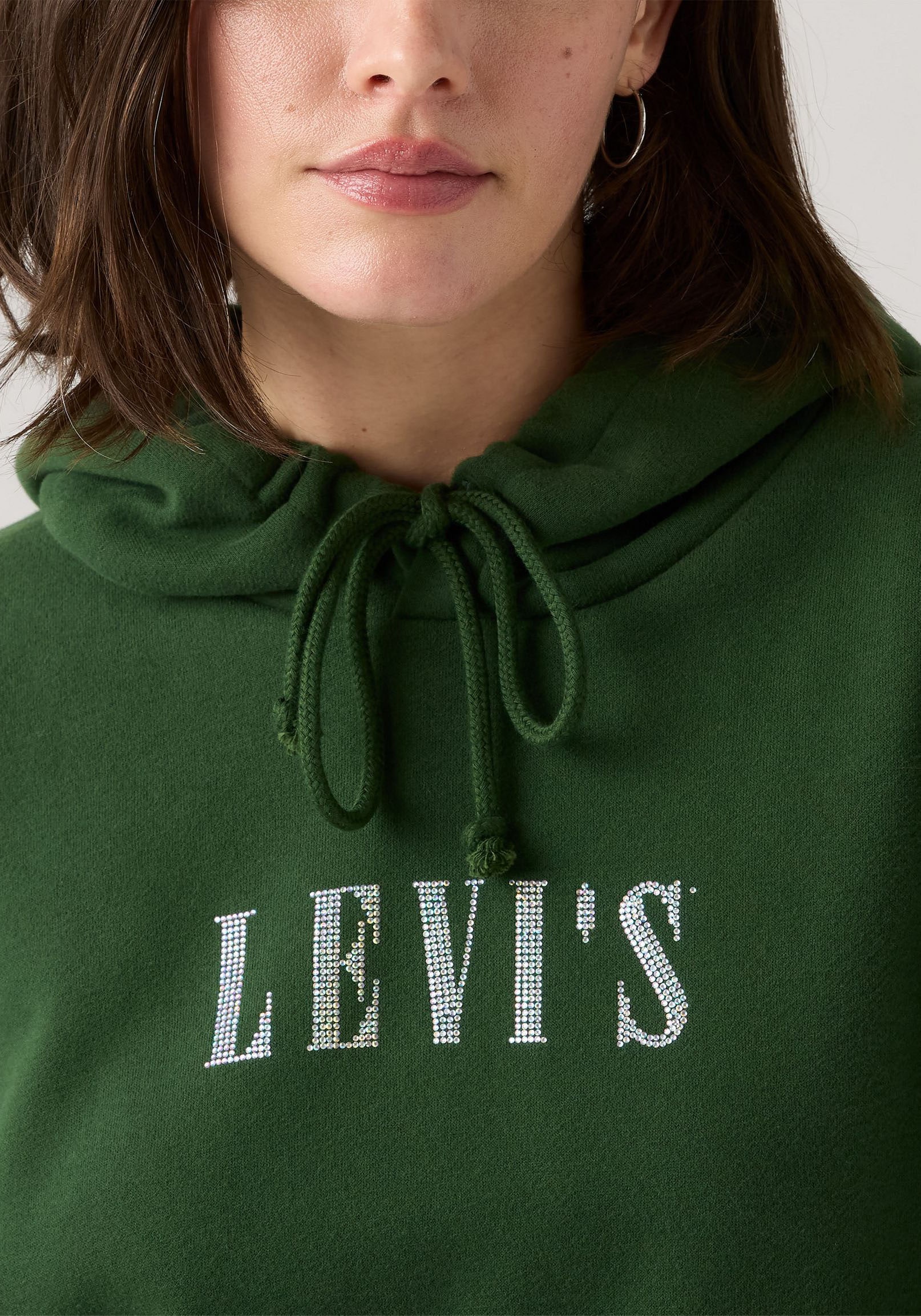 Levi's® Hoodie »GRAPHIC EVERYDAY«, mit Kapuze
