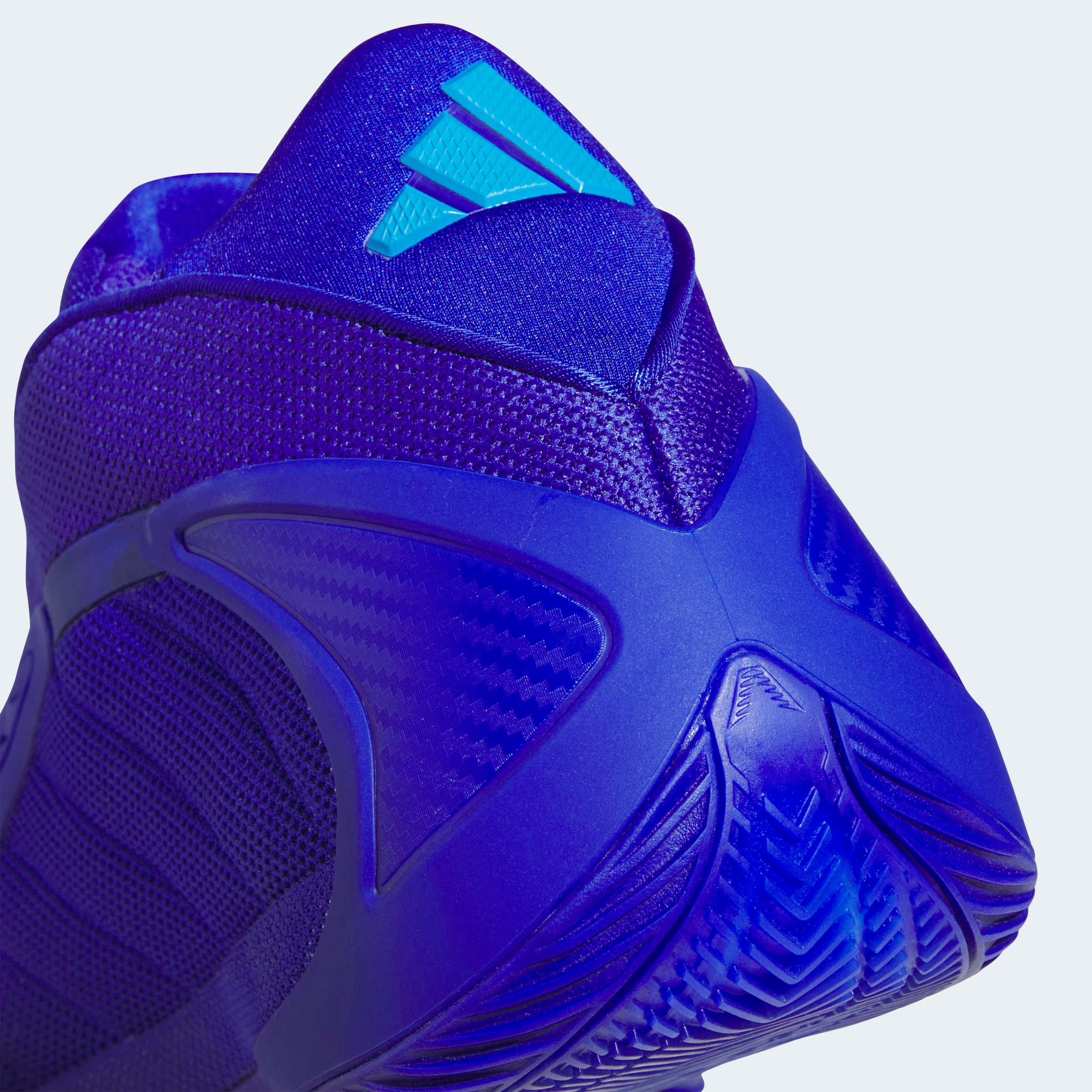 adidas Performance Chaussure de basket »ANTHONY EDWARDS 2«