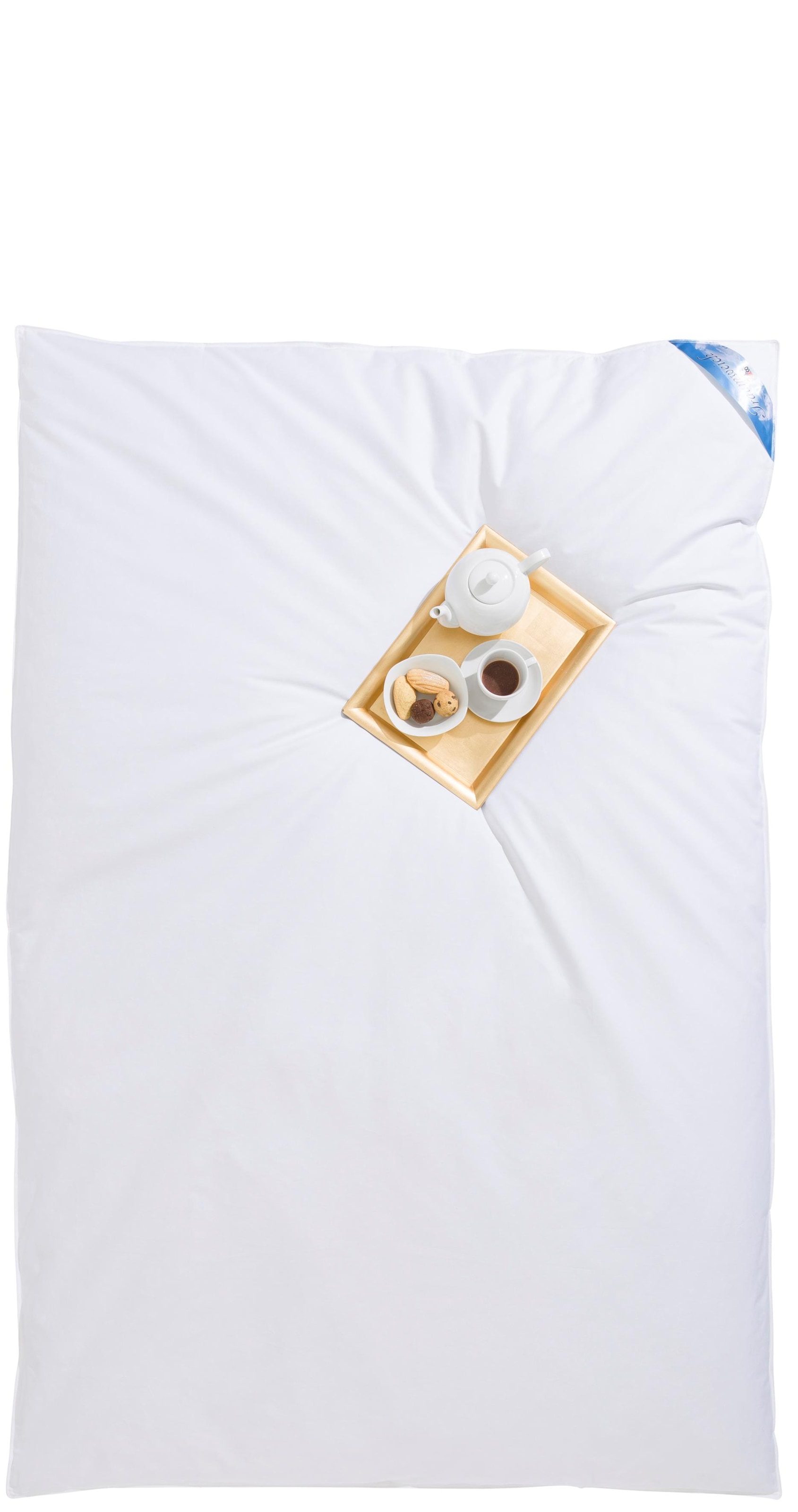 RIBECO Couette en plumes »Leon« ultra-chaud Füllung 80 plumes 20 duvet 1 cuis tlg. couette ballon, le classique !
